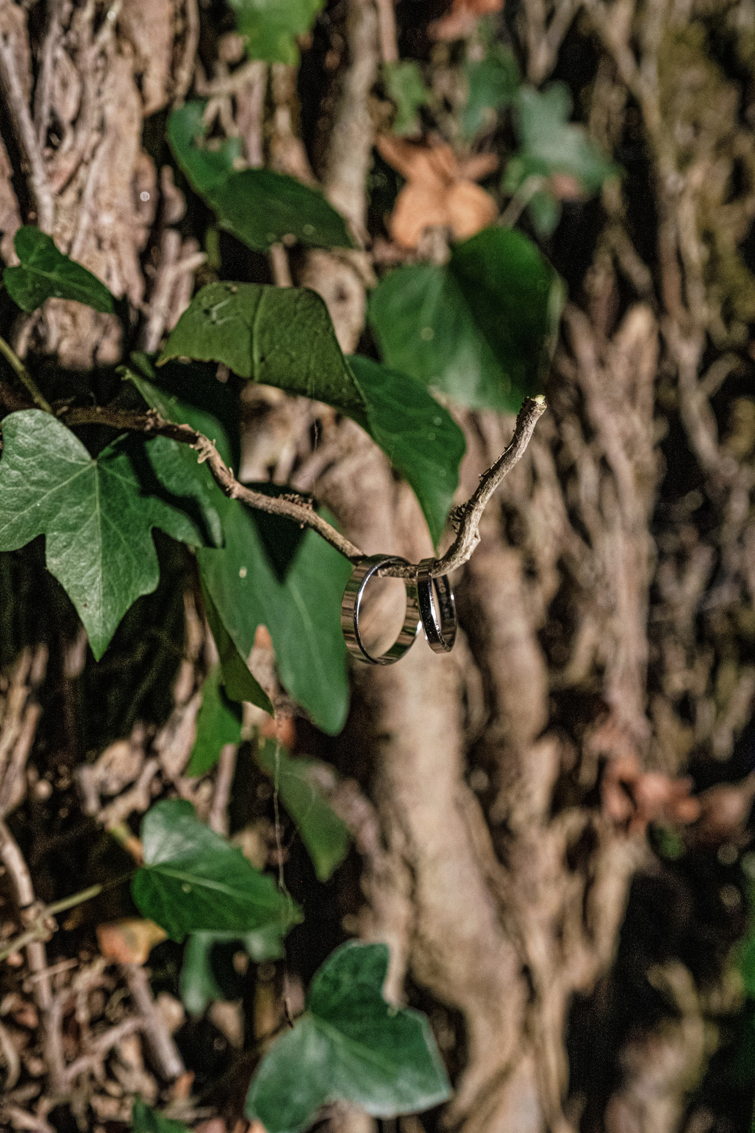 Две Здезды — Храм 19 века. Свадебный Видеограф Фотограф в Сочи