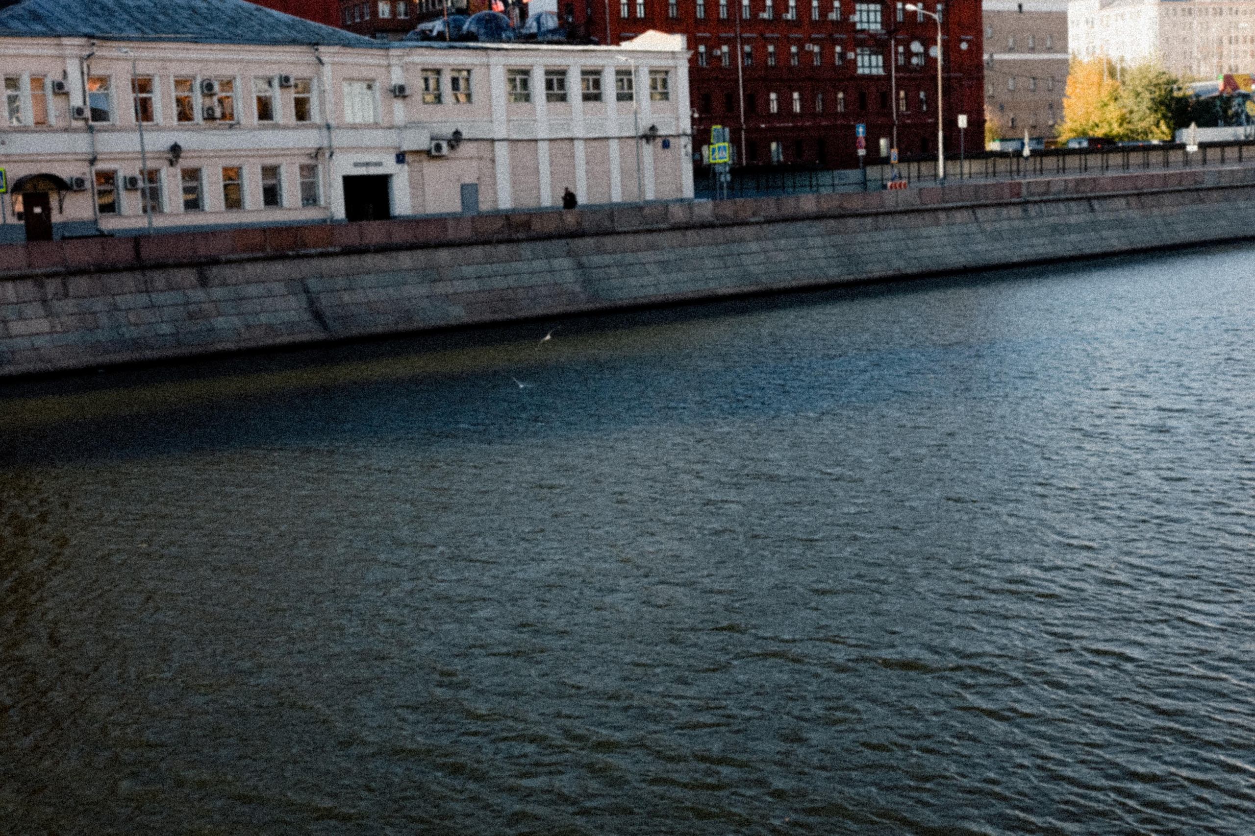 Сентябрьский воздух. Варвара Синицына: семейный фотограф в Москве