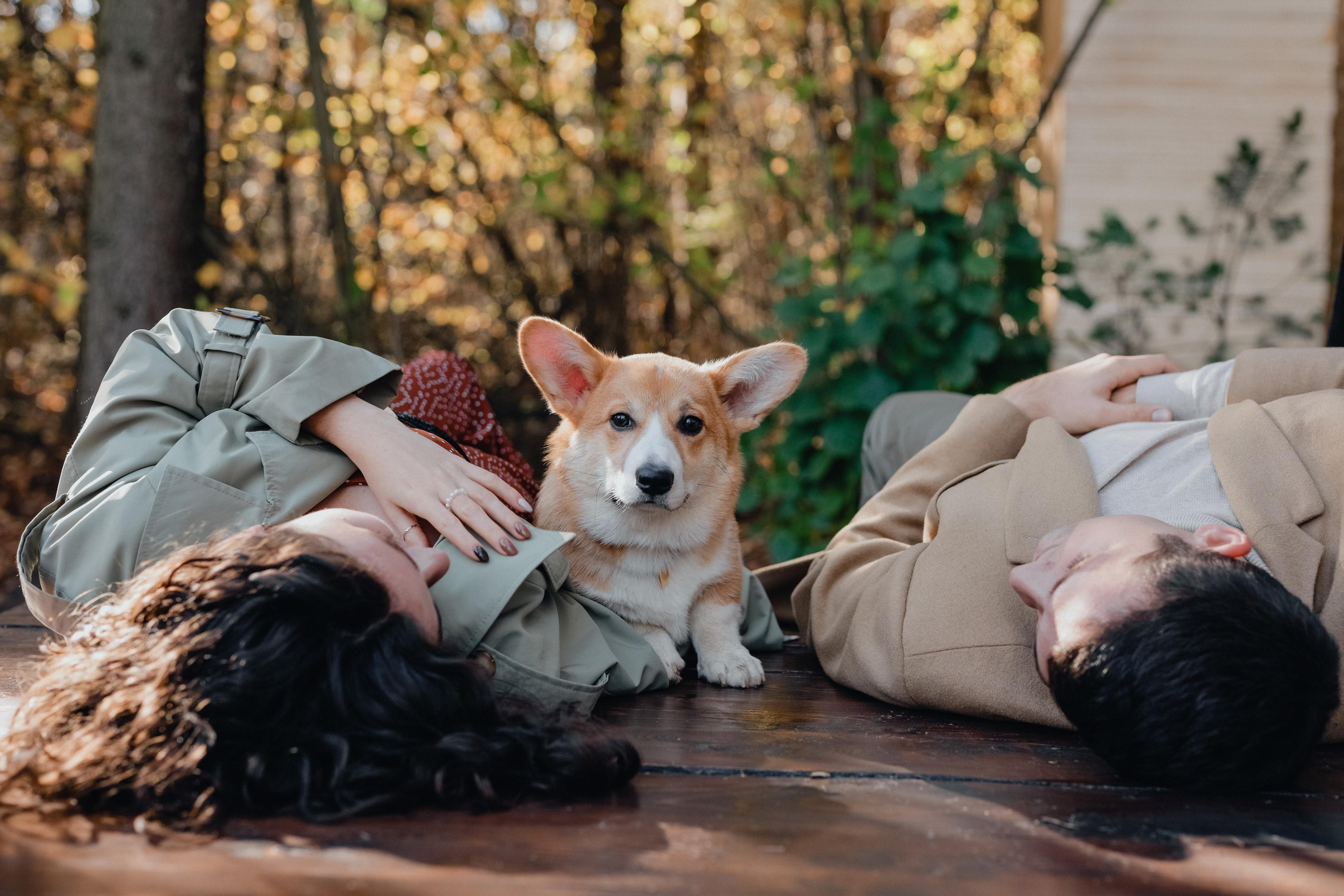 Пряная тыква. Варвара Синицына: семейный фотограф в Москве