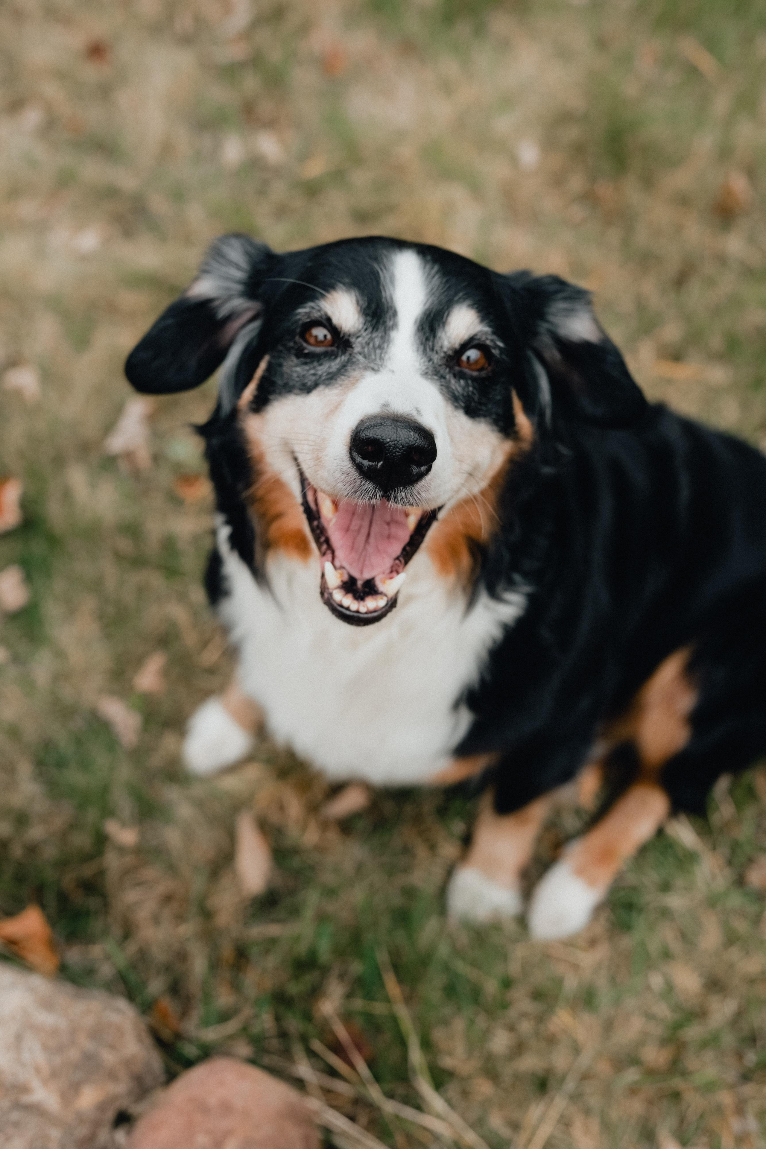 Яблочная Маша. Варвара Синицына: семейный фотограф в Москве