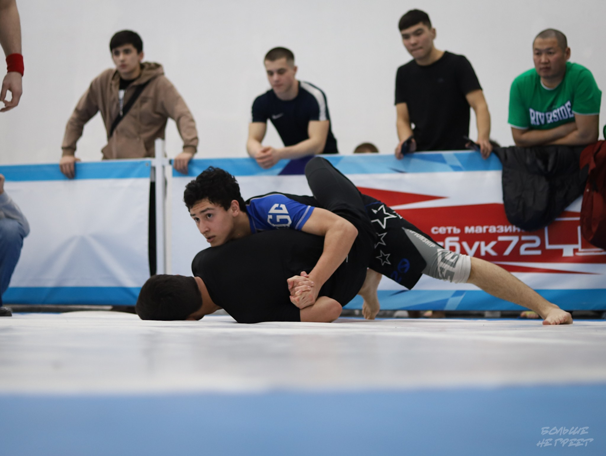 GORILLA PRIDE CUP. Больше не греет