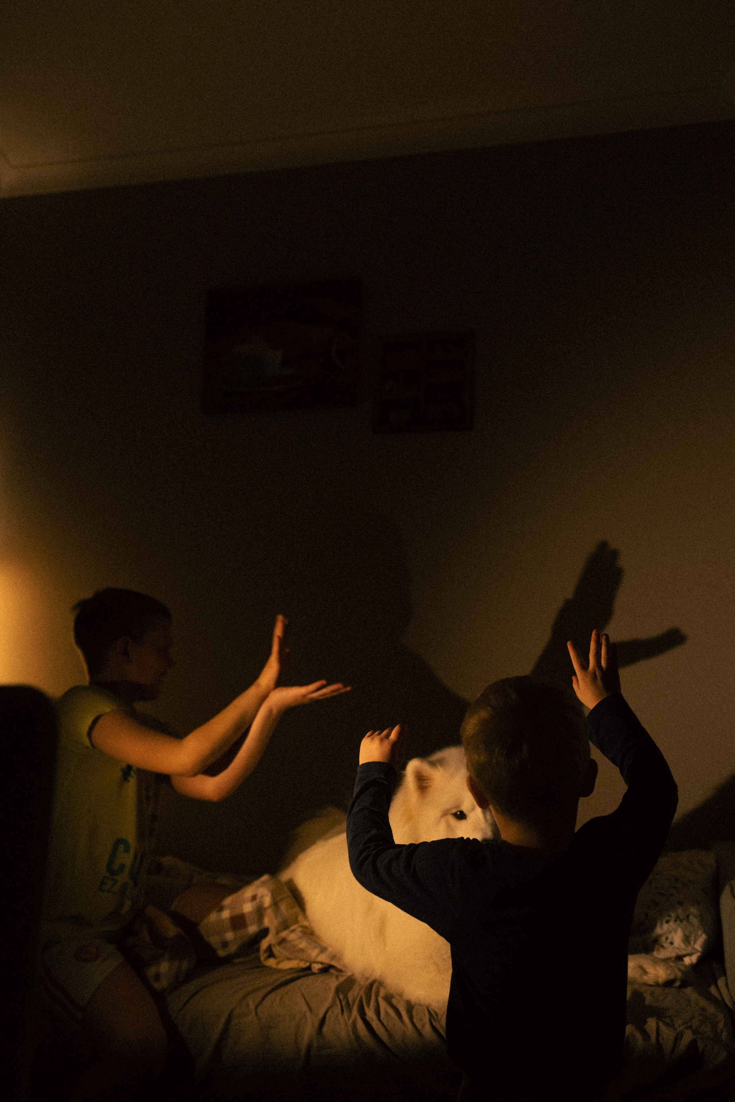 Мальчишки. Фотограф анималист в Москве Майорова Евгения