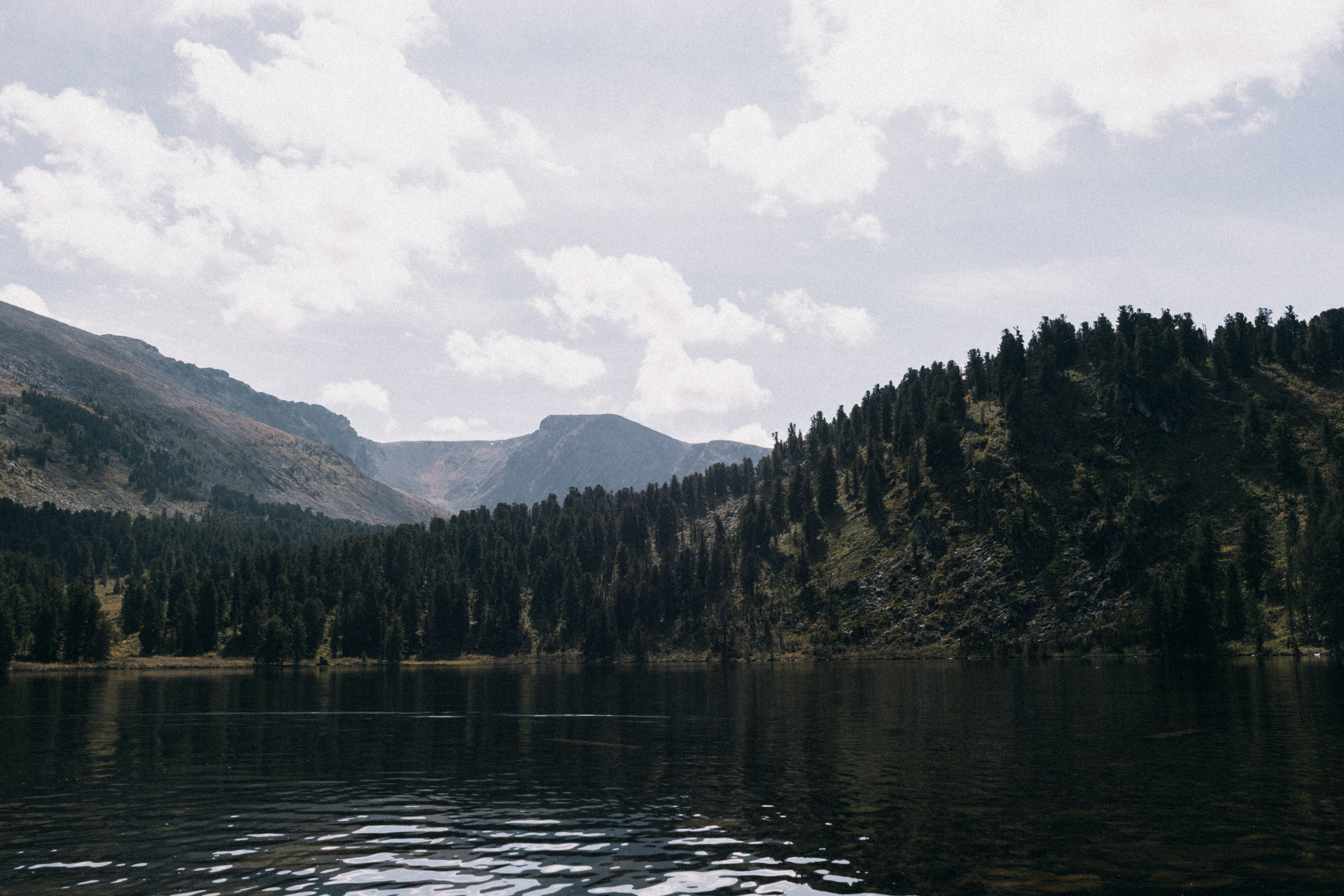 Алтай, природа и эстетика. Александр Чернин. Семейный и событийный фотограф