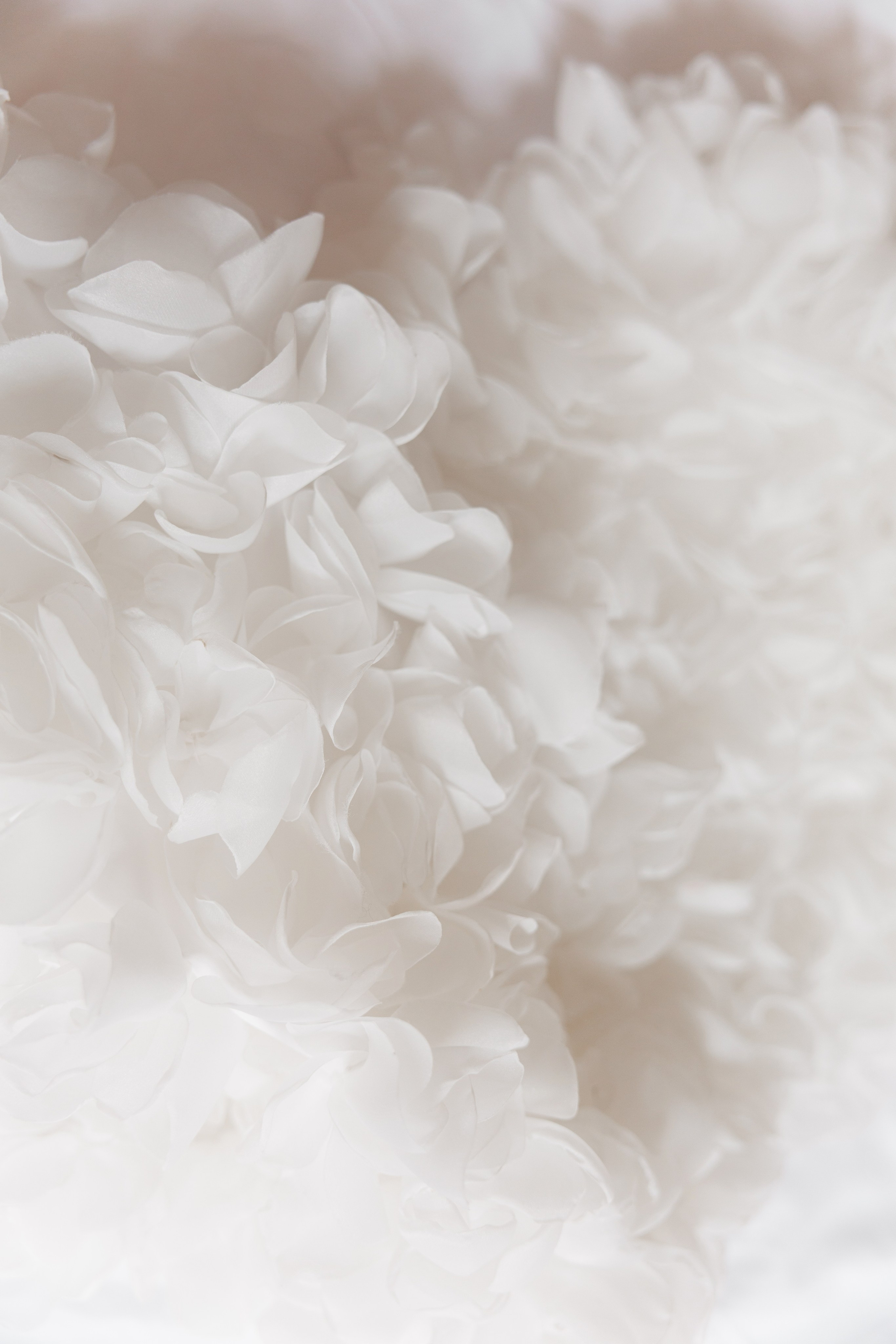 Алина и Дима. Главная