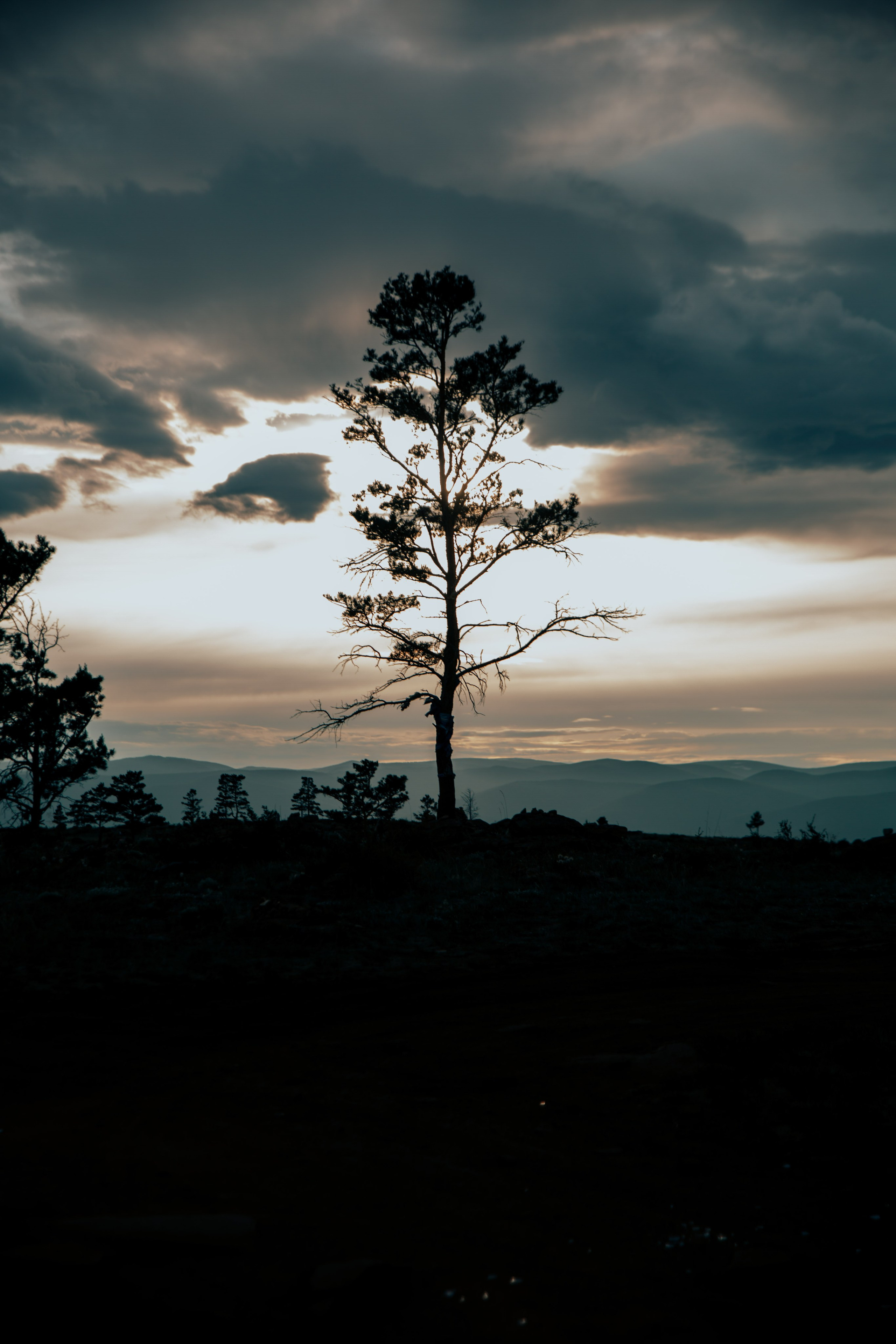 Ирина и Илья. Фотограф Улан-Удэ Алексей Раднаев RAD