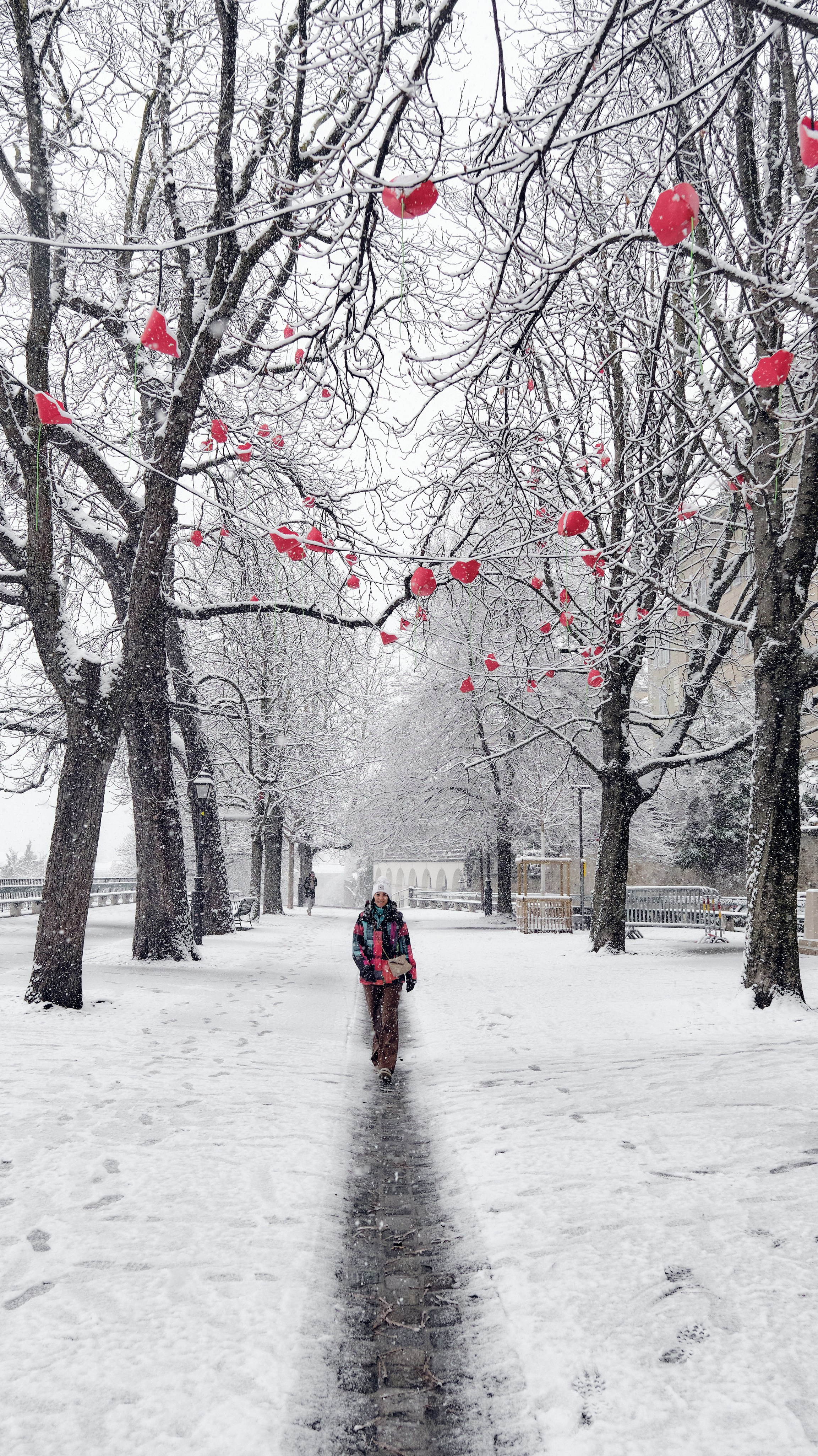 Geneva / winter 2024. Aleksandr Kobtsev