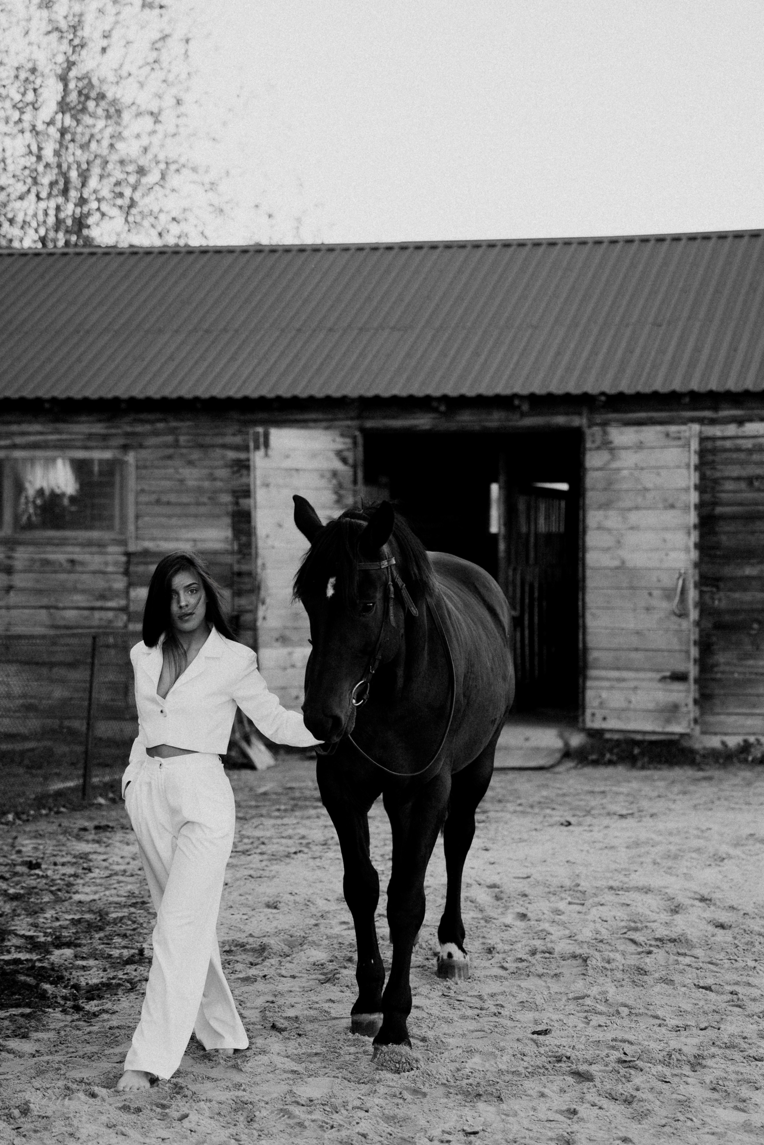 Конные. Главная