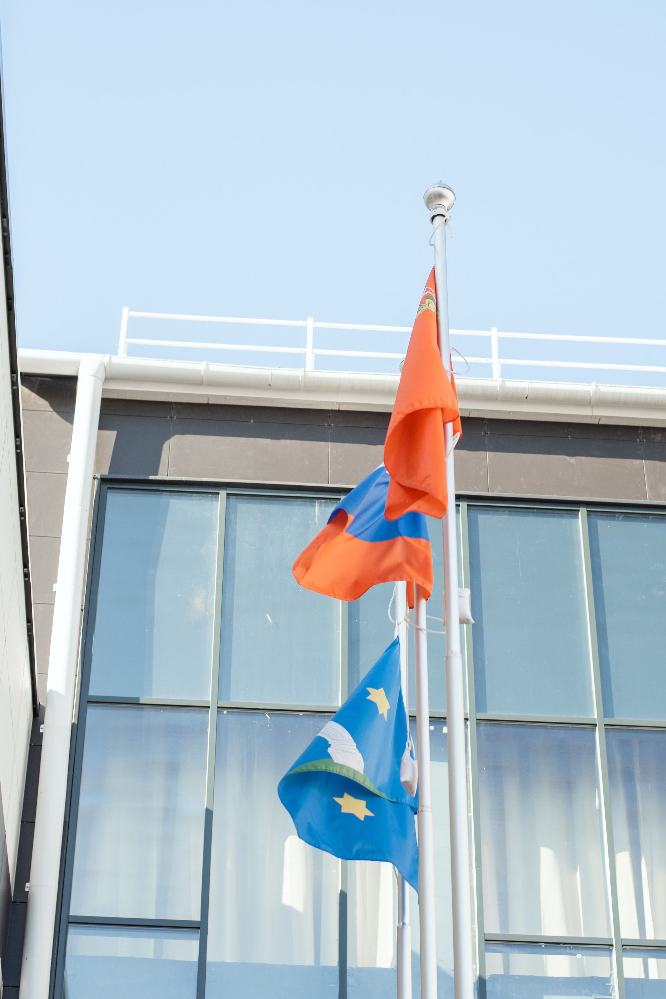 1 сентября. Семейный фотограф Екатерина Шаманаева