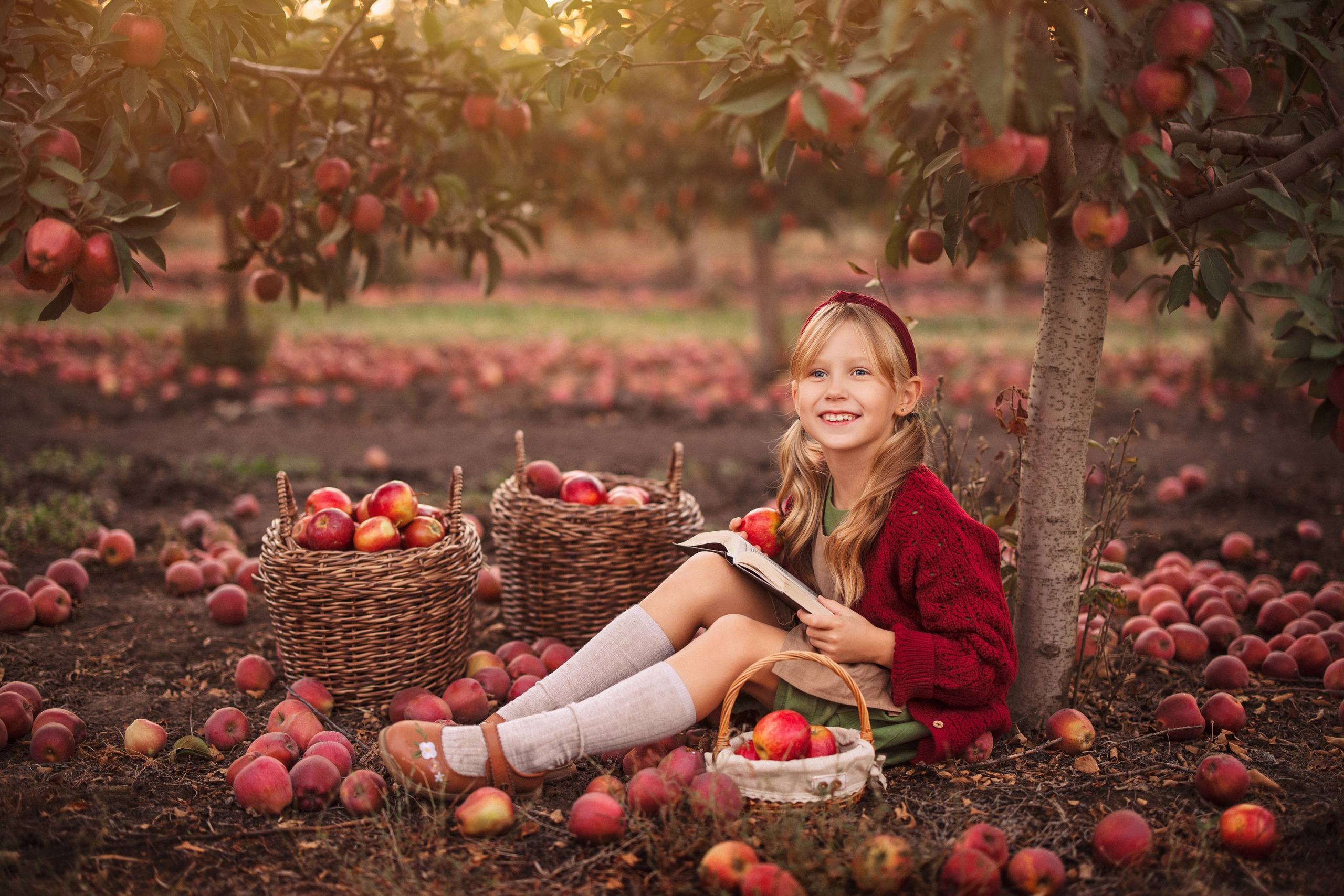 Сбор урожая Яблок. Семейный и детский фотограф в Краснодаре Анна Трашкова