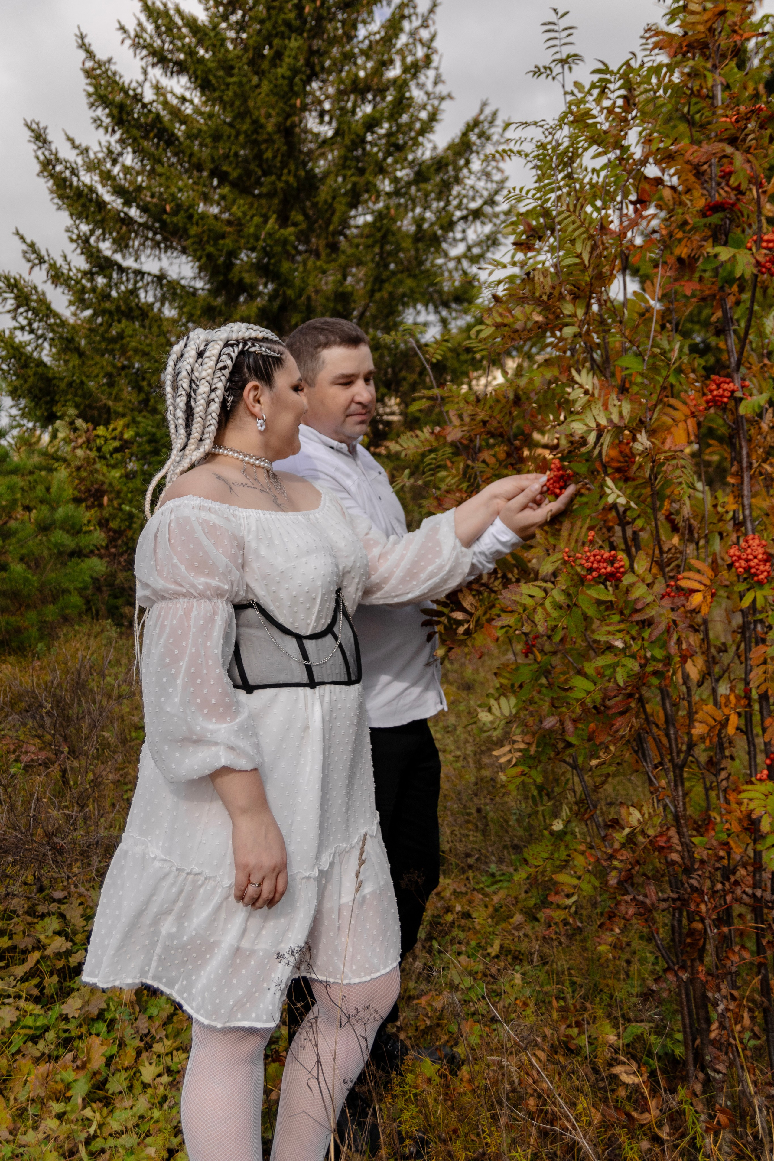Снежаны и Александра