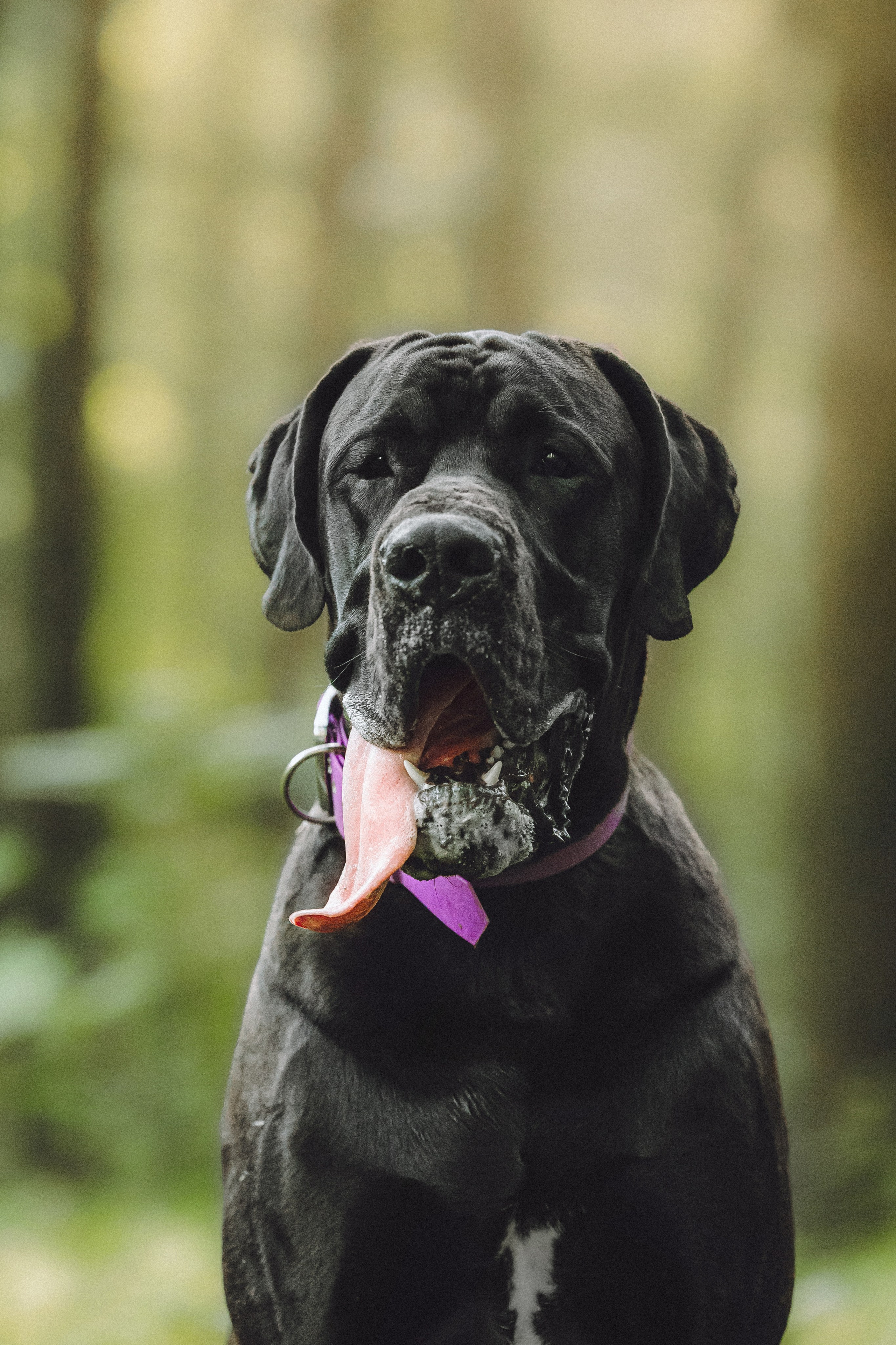 Катя, Андрей, Гектор, Ричи, Тортик и Трой