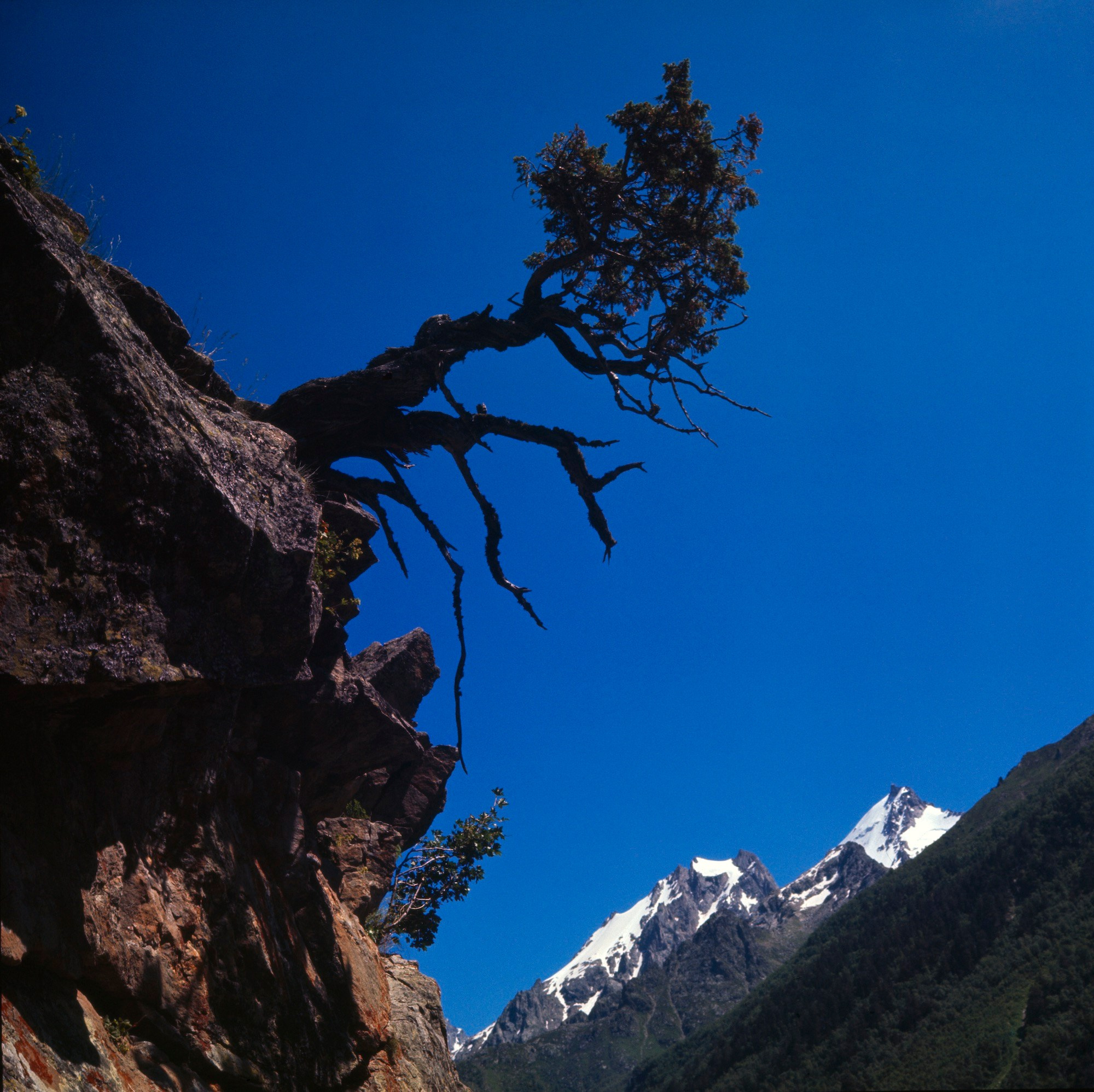 Кавказ. ВАДИМ ГИППЕНРЕЙТЕР — ВЕЛИКИЙ ФОТОГРАФ ЗЕМЛИ РУССКОЙ