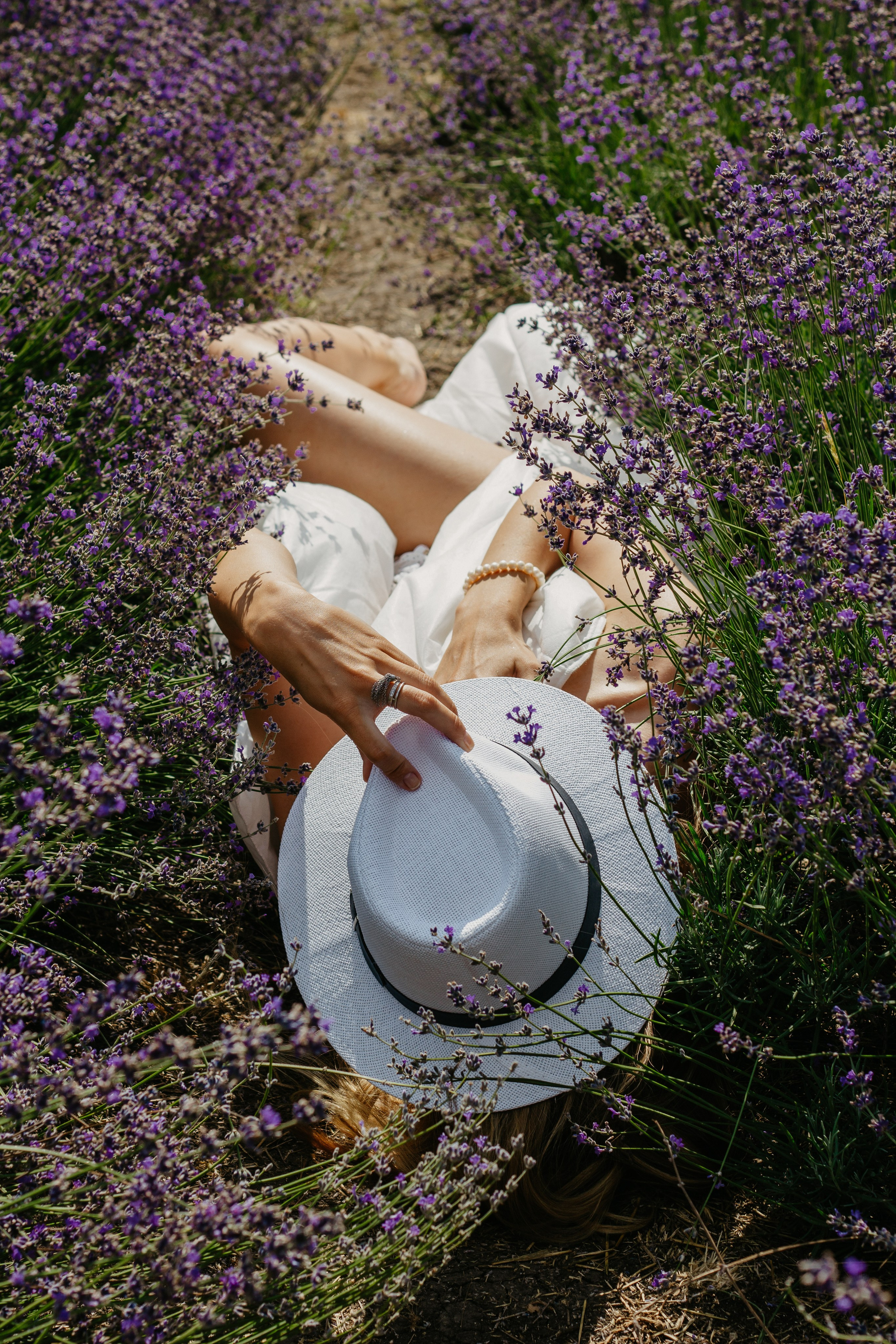 Лаванда. Главная