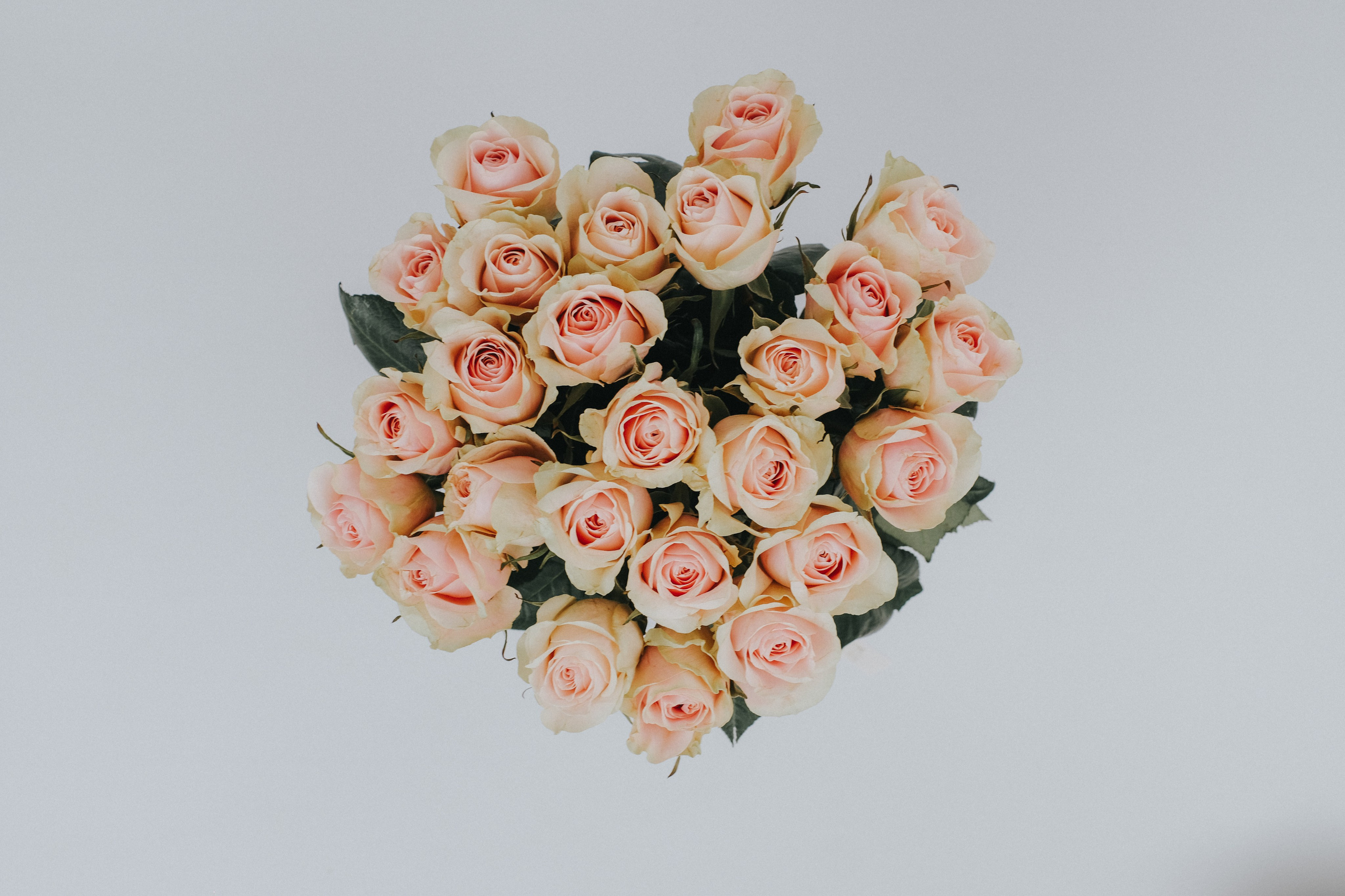 Контент для салона цветов. Свадебный и репортажной фотограф Денис Ожигин в Краснодаре и Краснодарском крае