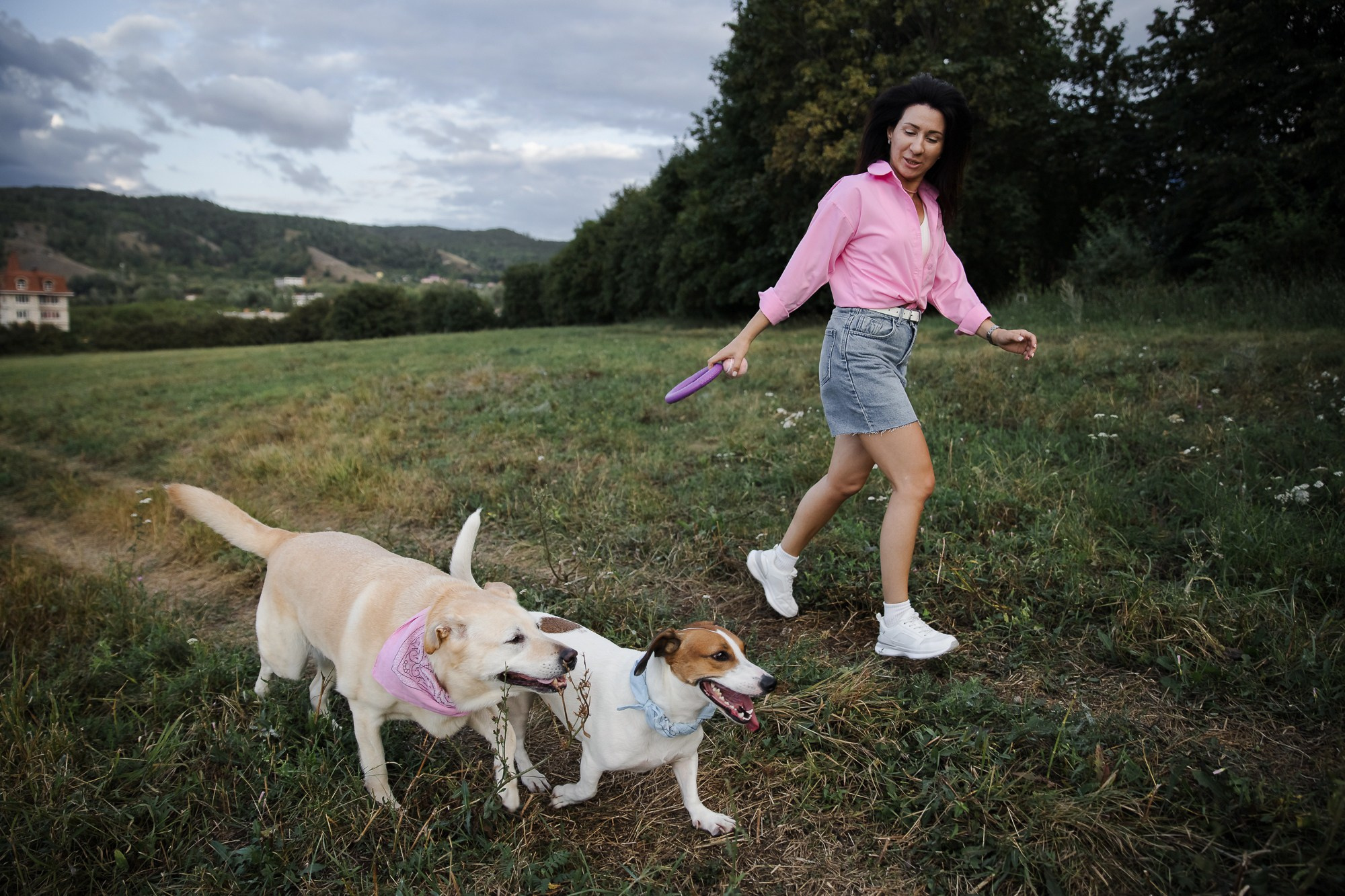 Счастье на четырёх лапах. Маргарита Рубцова свадебный фотограф Тольятти