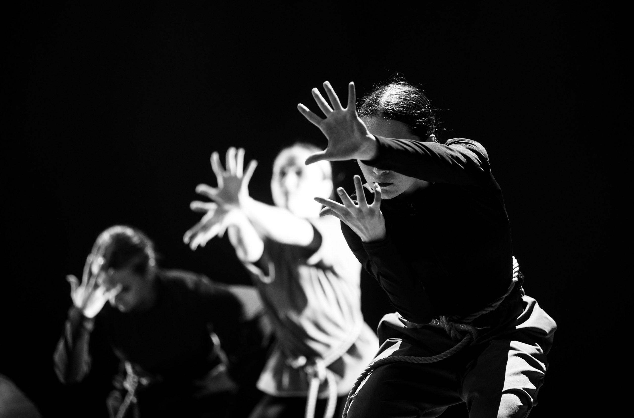 Контрасты | КемГИК