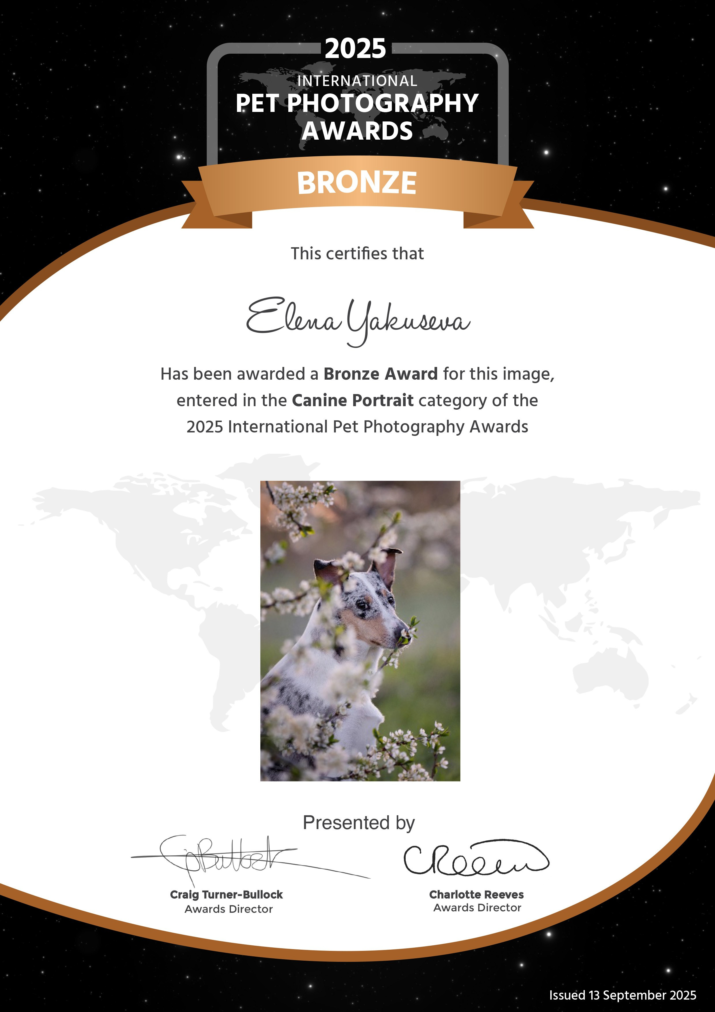 Дипломы & AWARDS. -