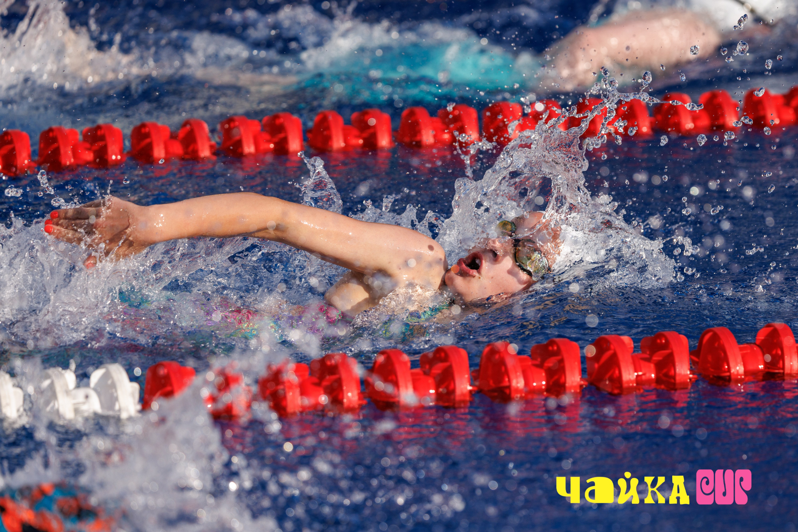 Чайка Cup / III этап. Спортивный фотограф Алексей Соломин
