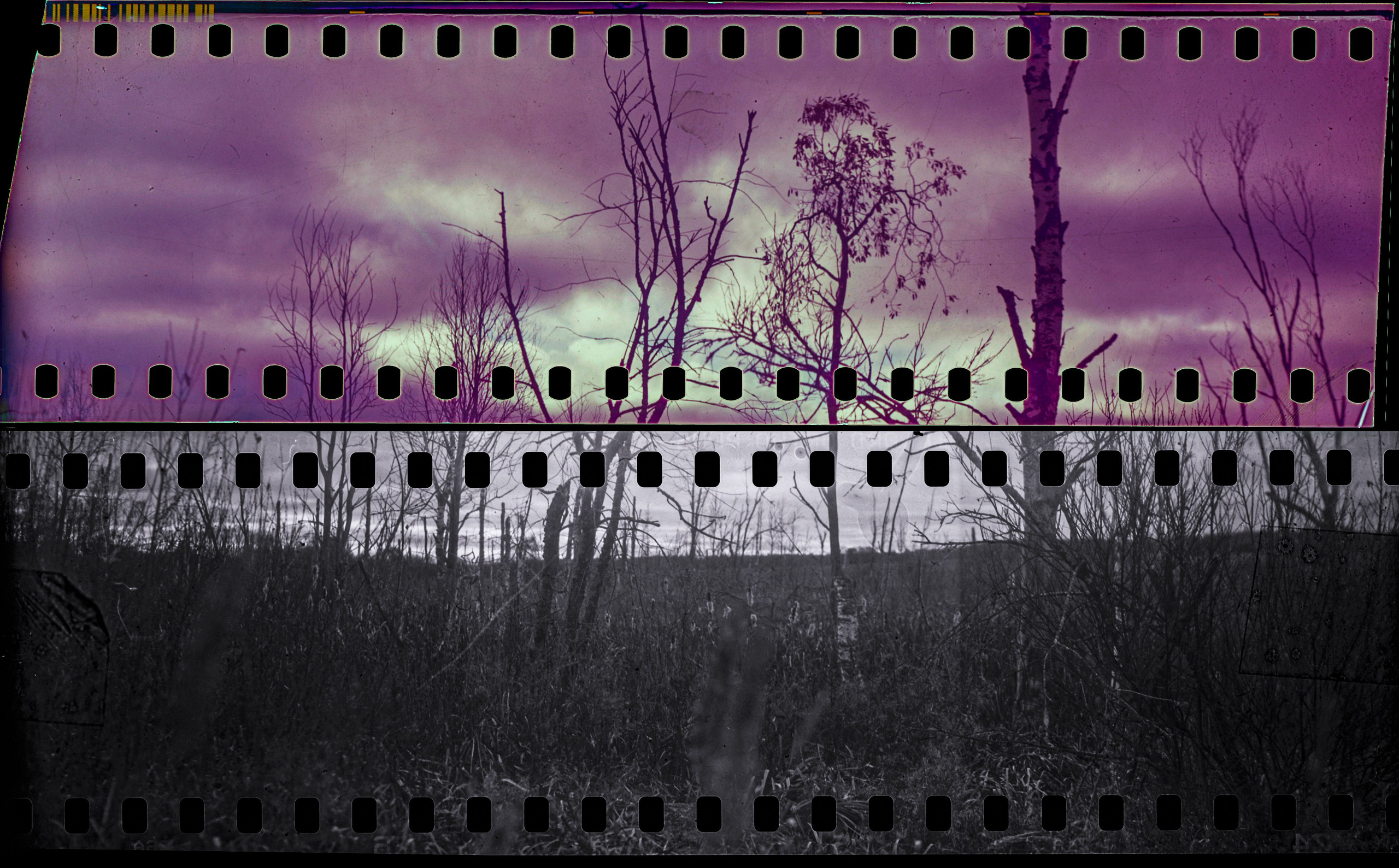 AGFA Aviphot 80 /  Kodak Ektachrome E100