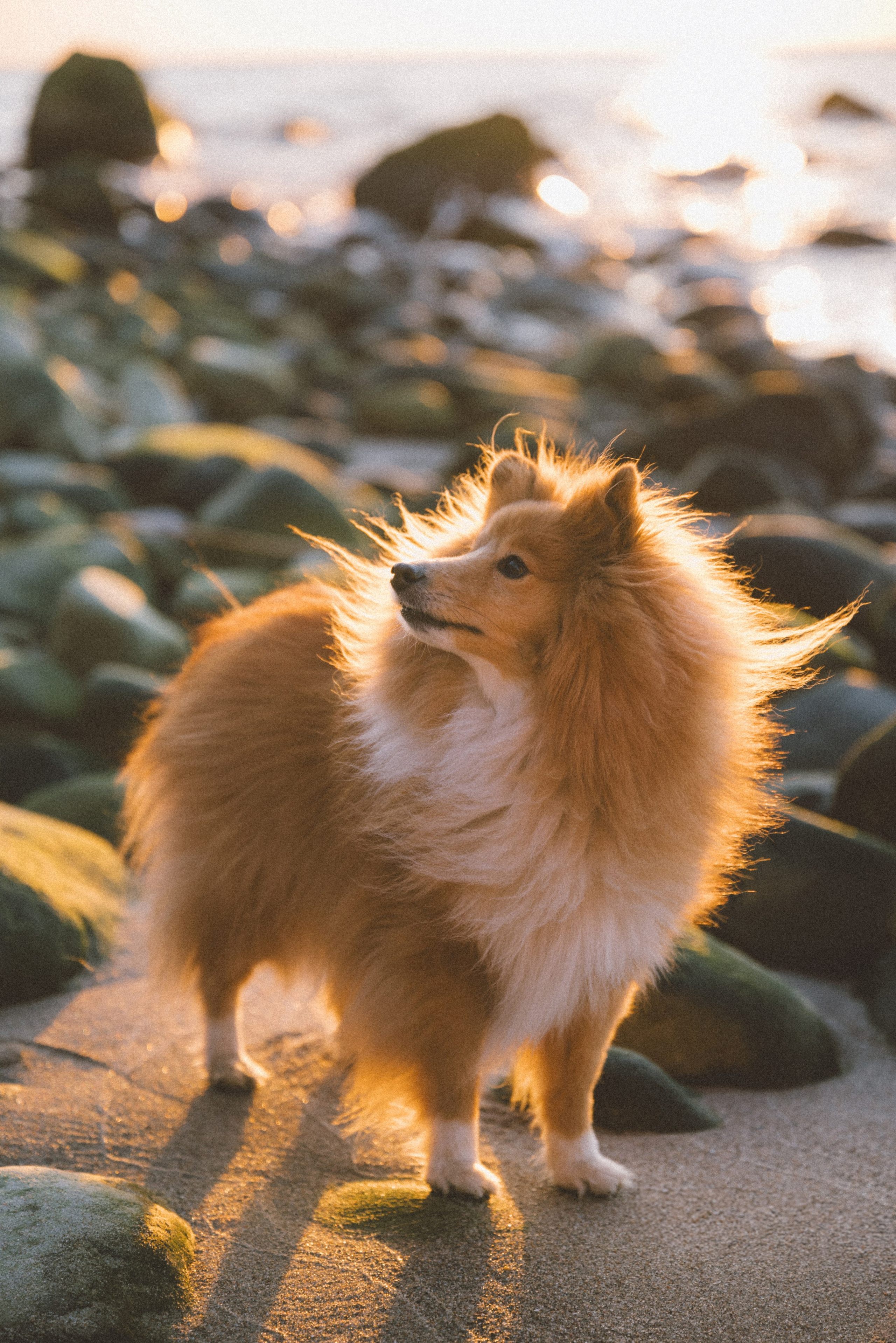 Анна и Артем. Фотограф Калининград Ангелина Воробьева