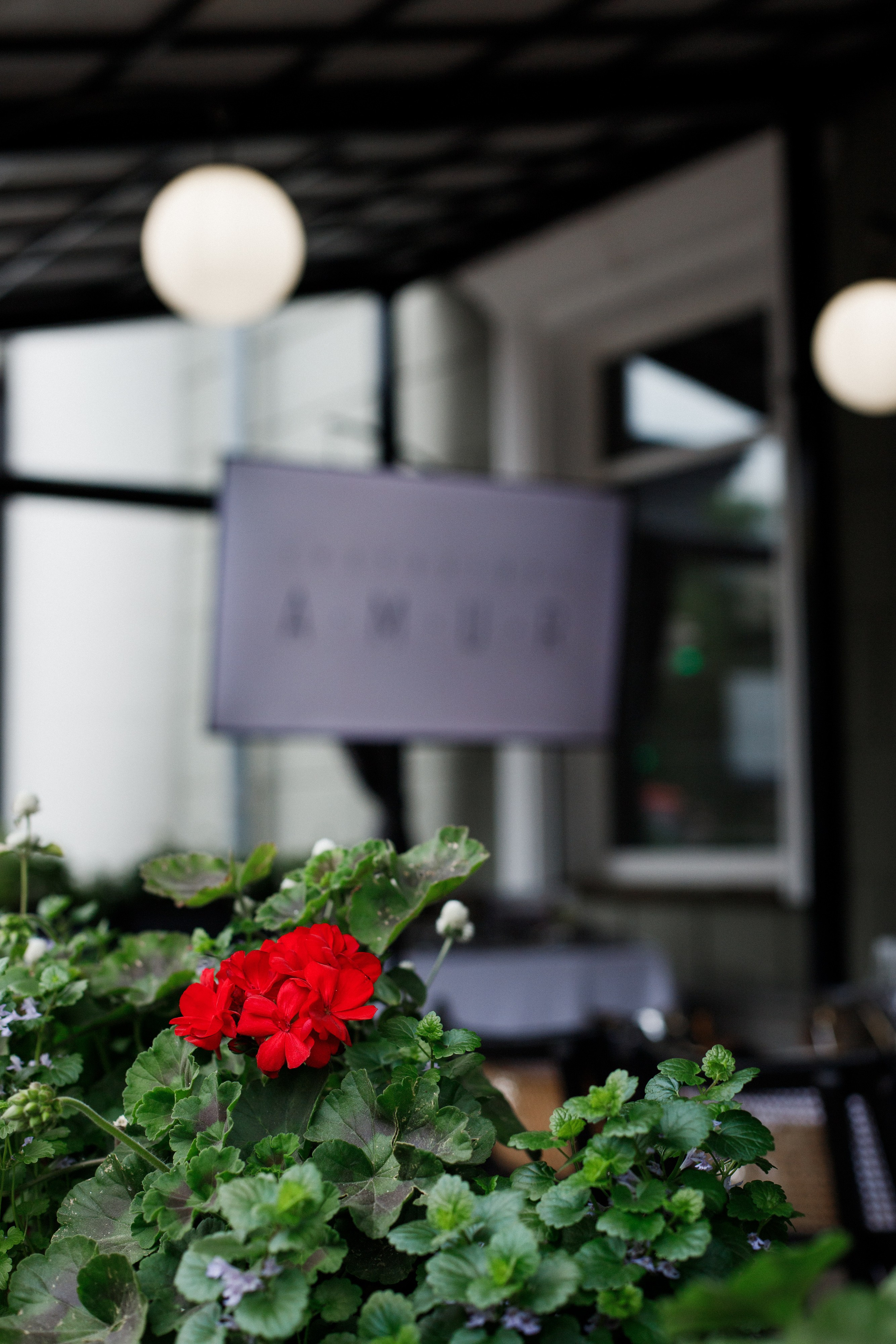 A.M.U.R. / ЧЕРНЫЙ РУССКИЙ / УЖИН /. СВОИ. ФОТООТЧЕТЫ-СОБЫТИЯ-МЕСТА