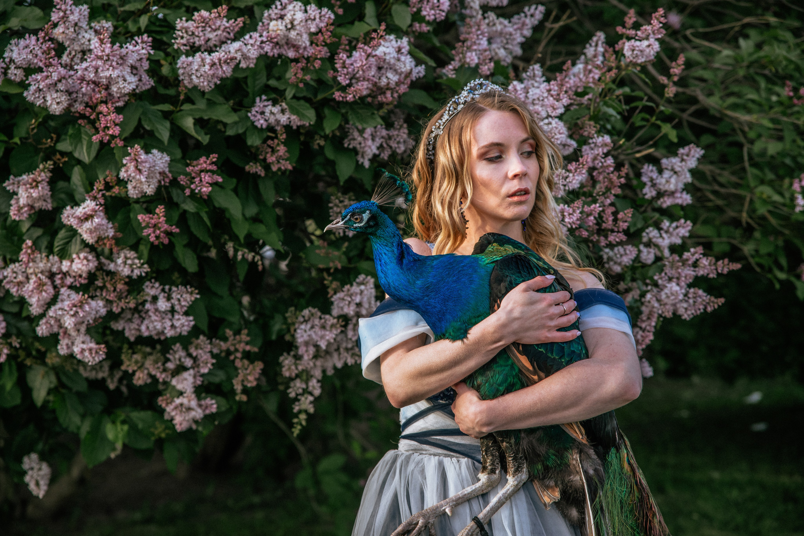 Павлин. Elena Sova — семейный и женский фотограф в Санкт-Петербурге