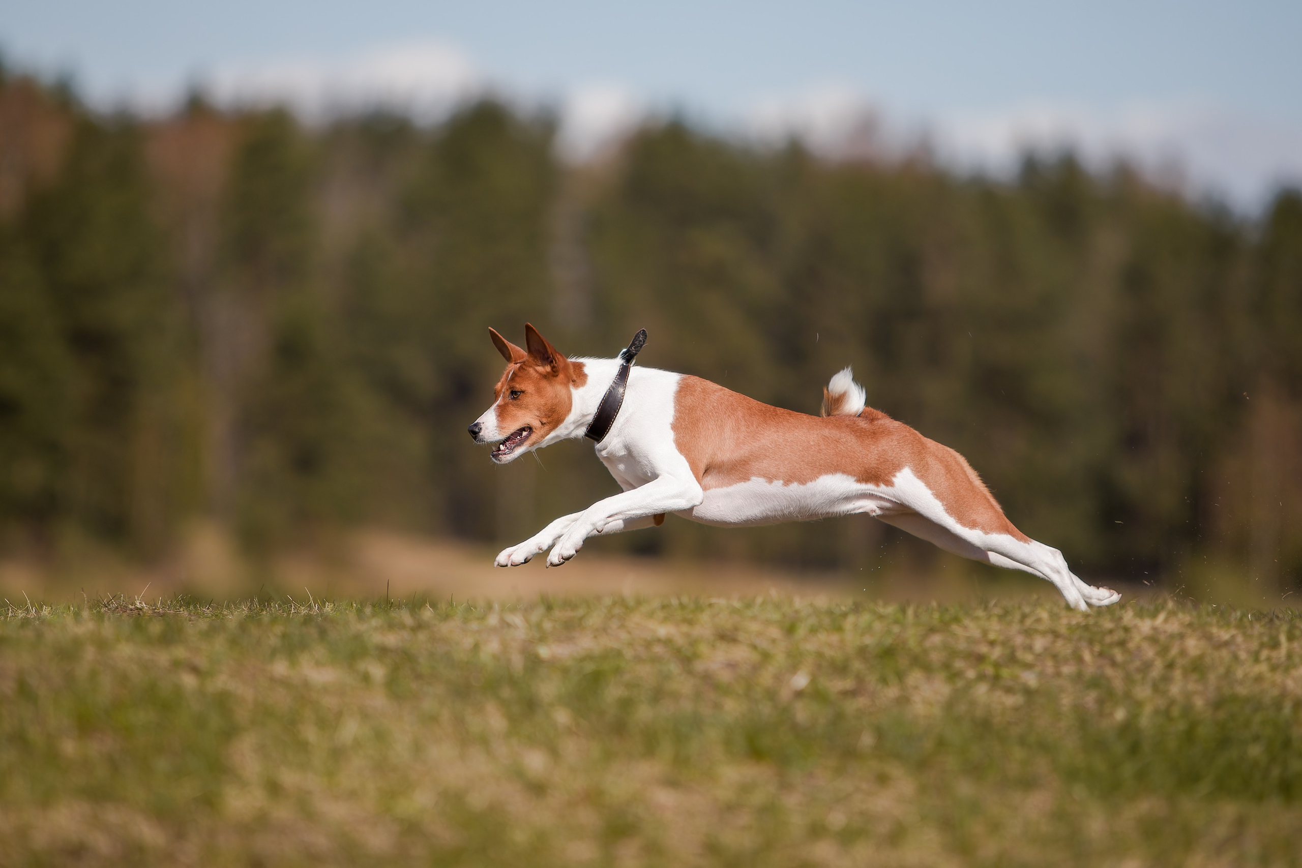 Lure Club 2025. Irenephoto.ru