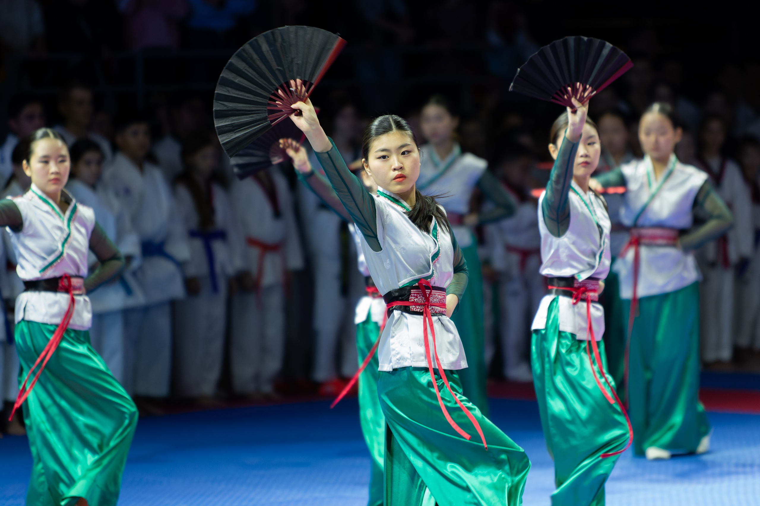 Дальневосточный фестиваль восточных единоборств. Кутузов Евгений Фотограф в Южно-Сахалинске