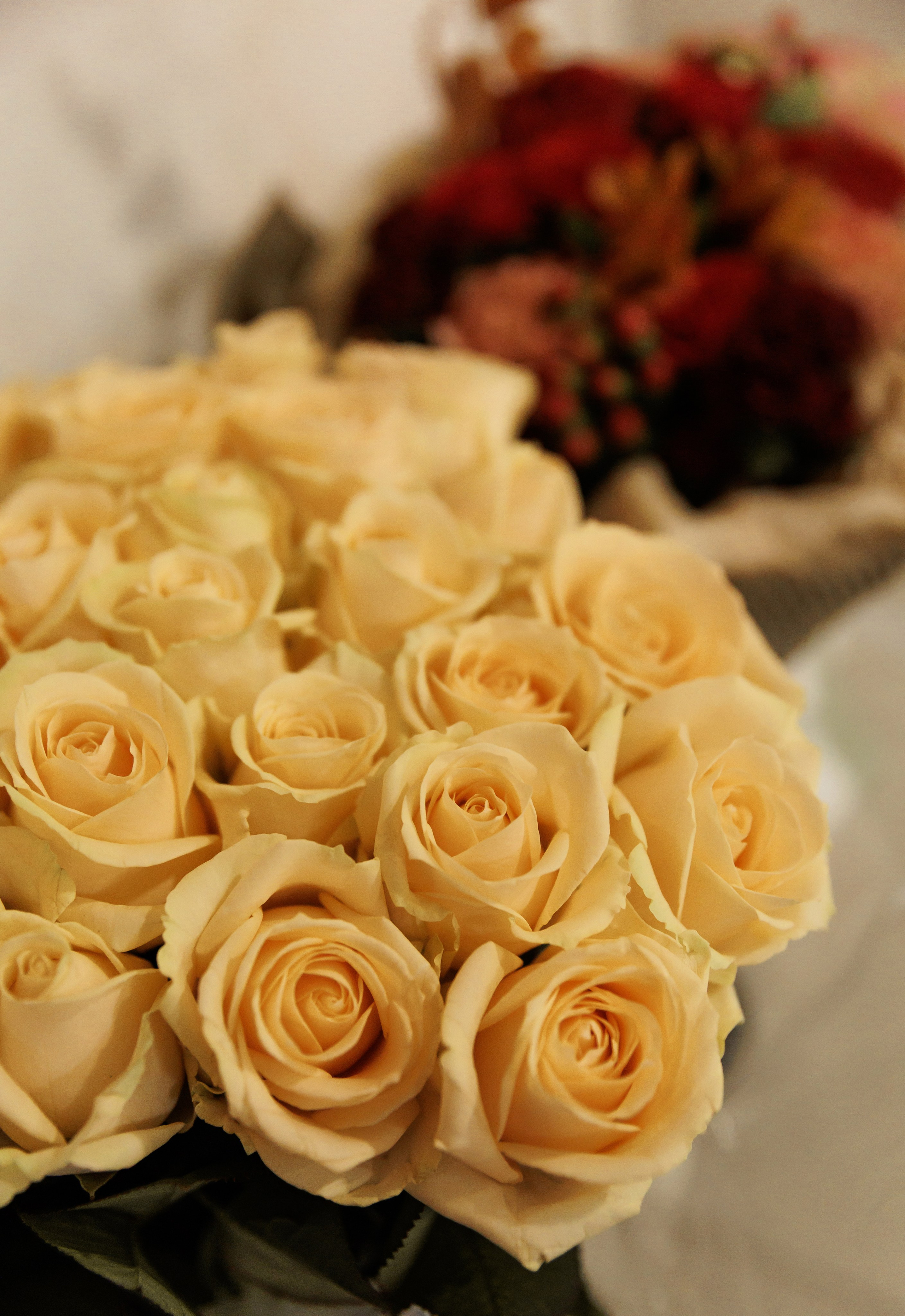 Юбилей Ани. Фотограф в Нижнем Новгороде, Дзержинске Олеся Хозяева