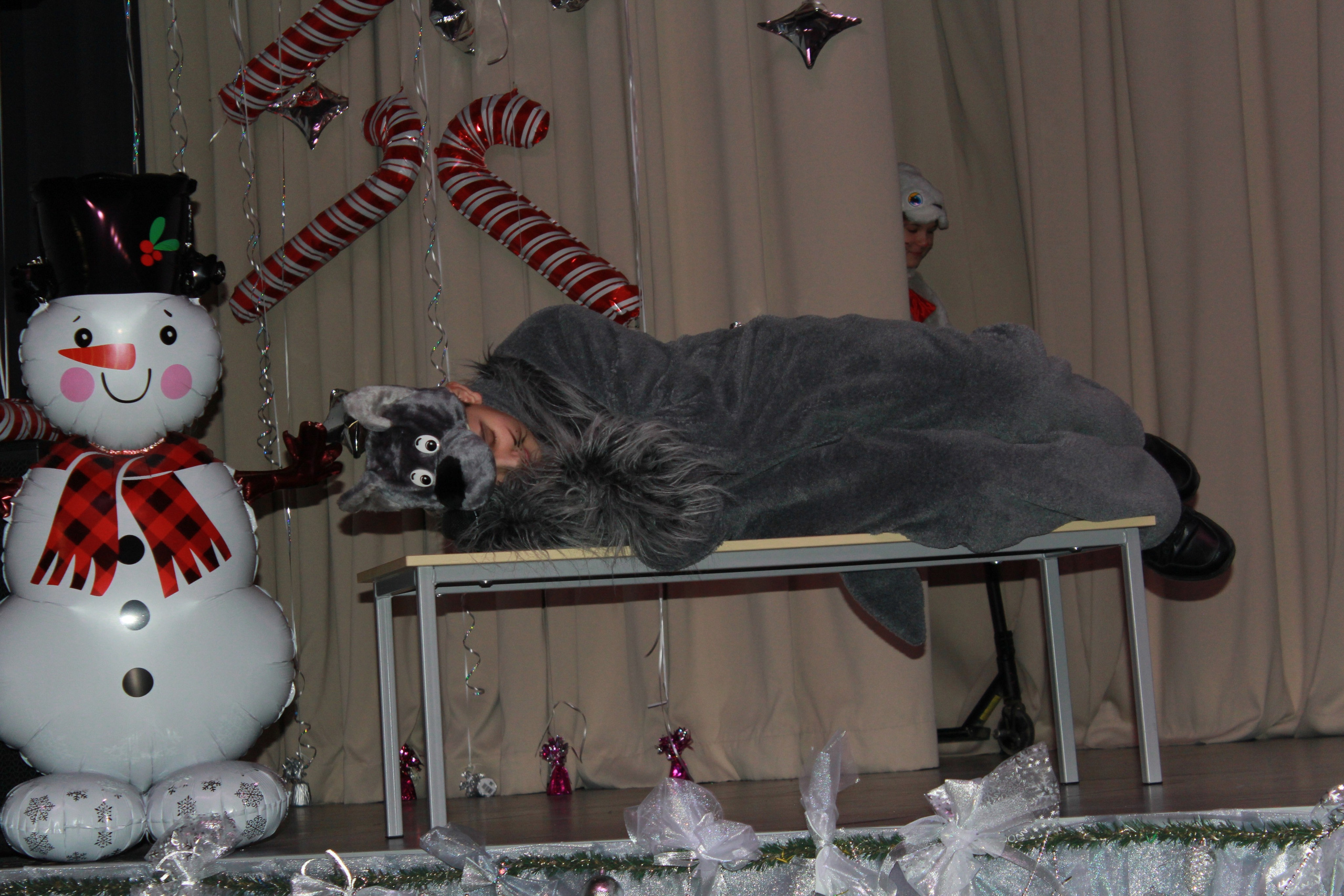 Праздники, мероприятия (Новогодний карнавал 2024-2025). Портфолио