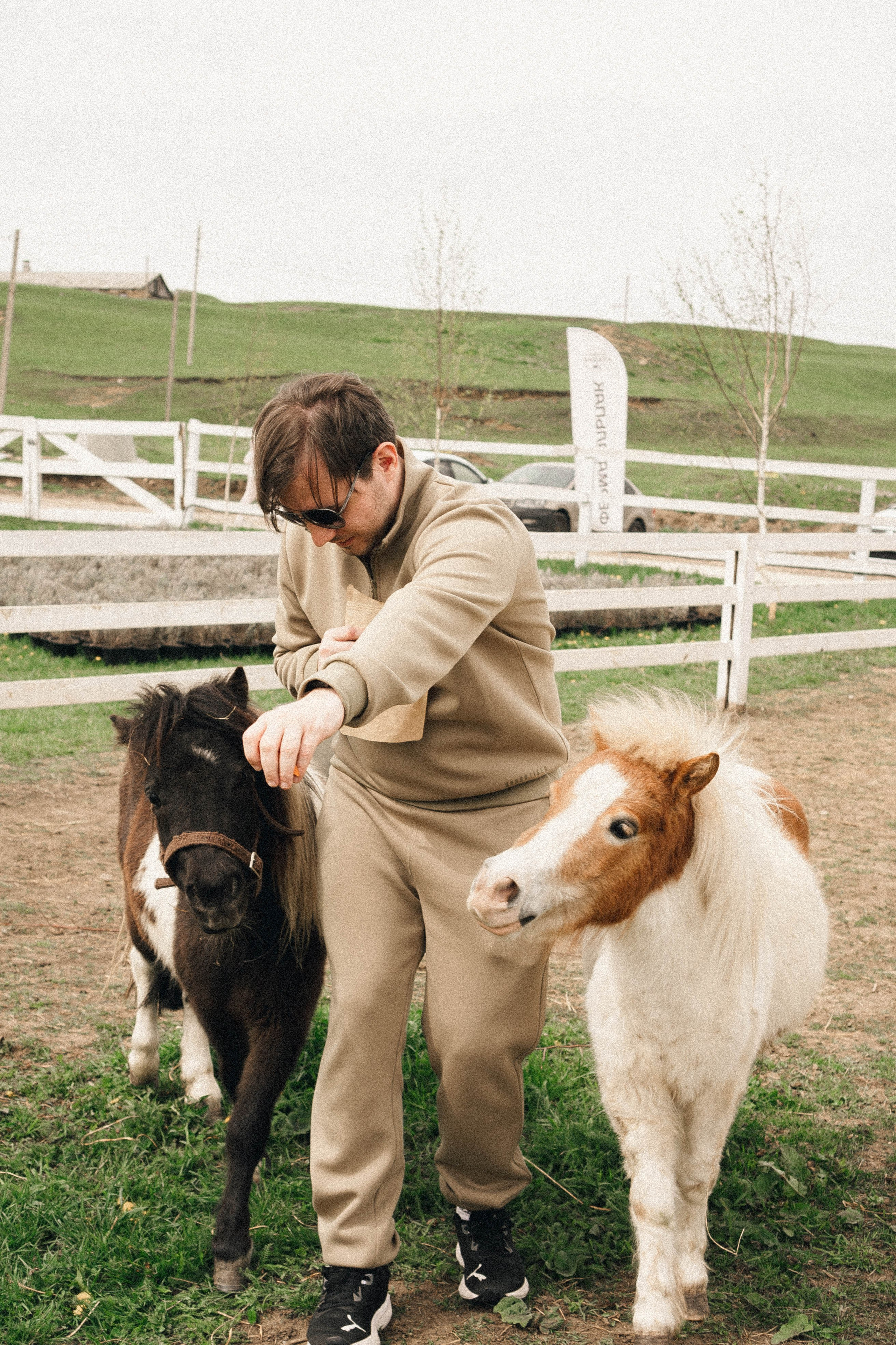 Ферма Альпак. Профессиональный фотограф, Санкт-Петербург — Виктория Богомолова