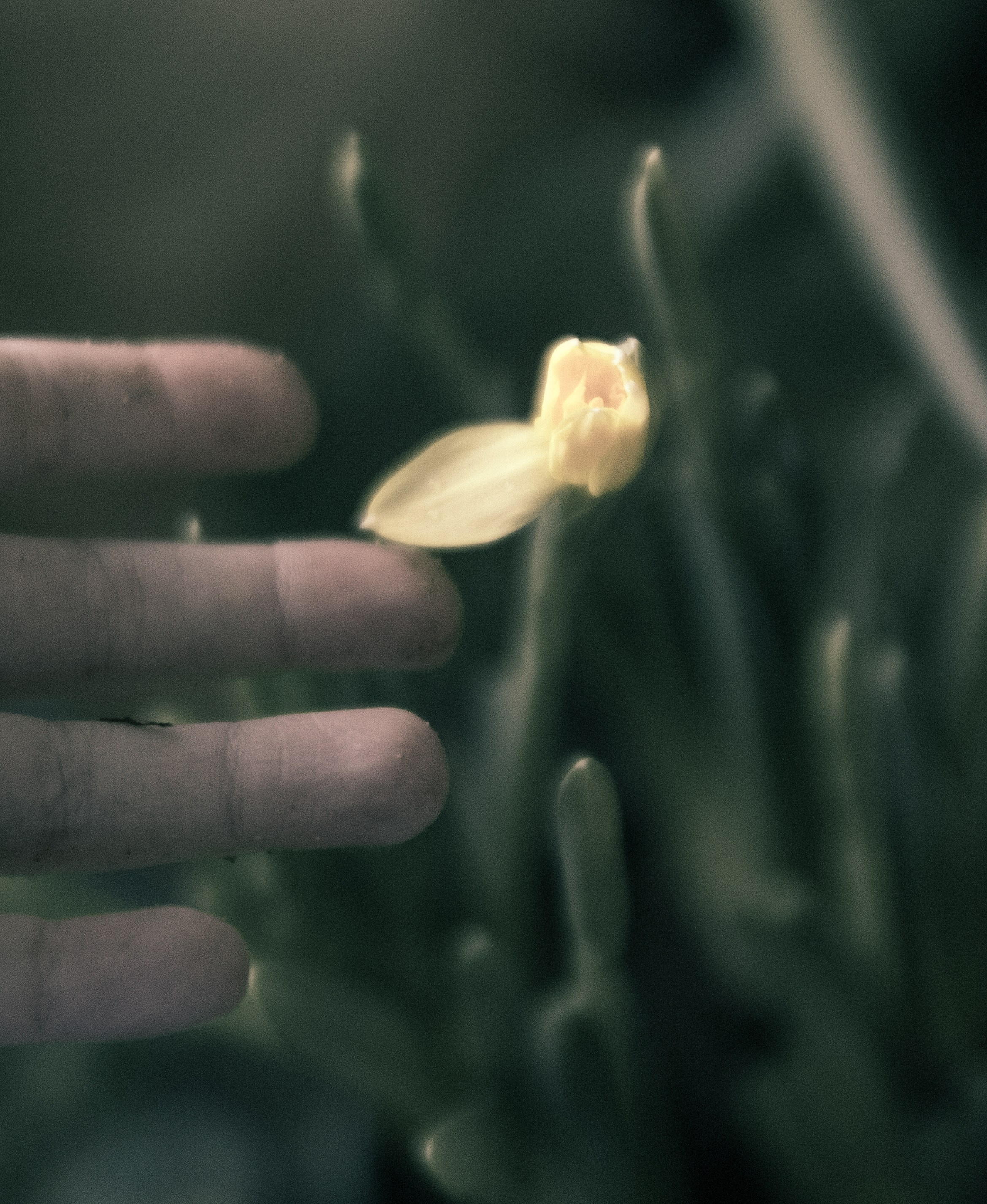 Детство-детство