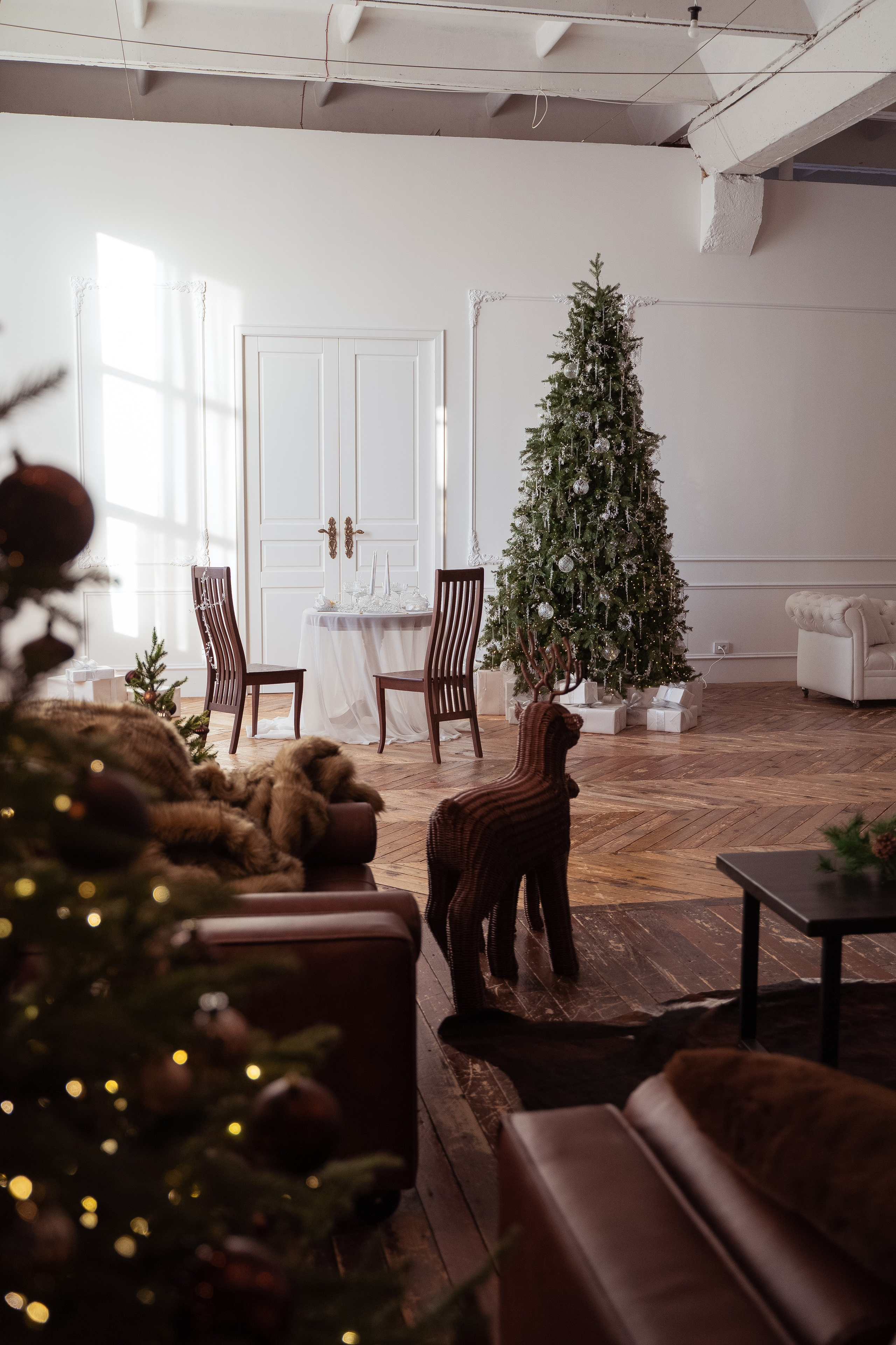 Браун (Brown). Фотограф г. Хабаровск. Семейные и индивидуальные съёмки