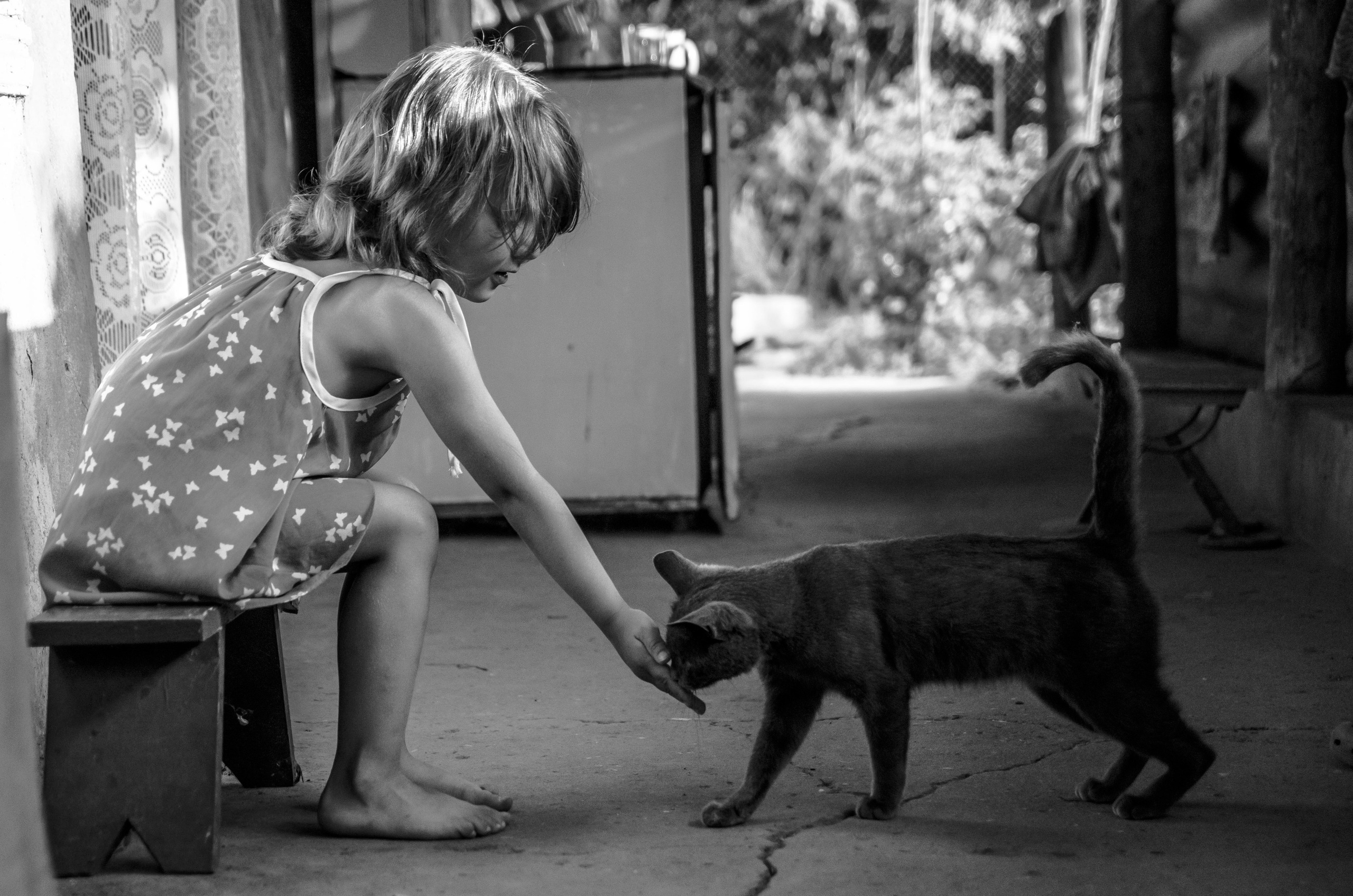 Серии «Кошка». Мультижанровый фотограф Дарья Strebog