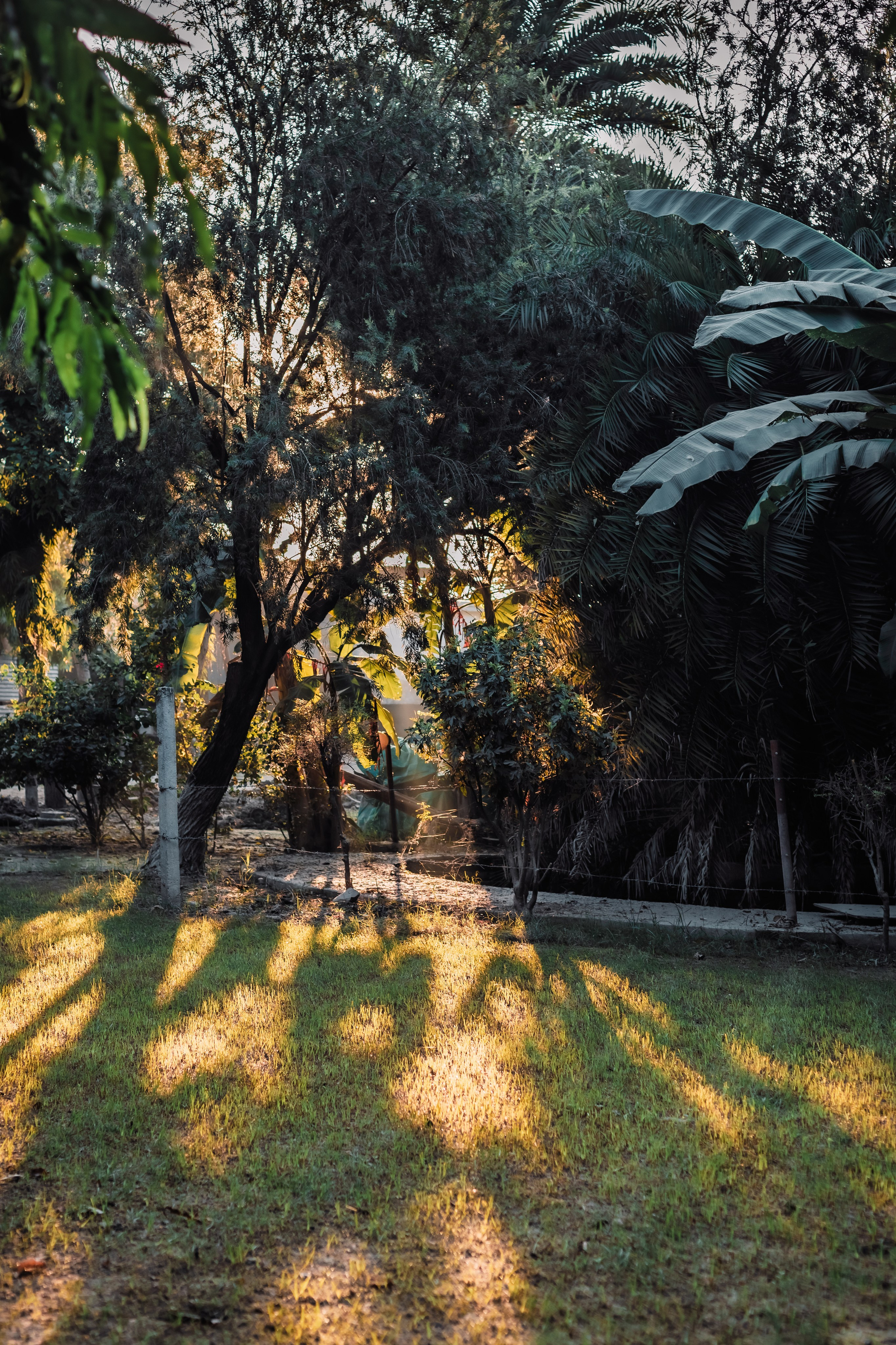 Devraha baba ji ashram life 2025. Mariam Bagdasaryan