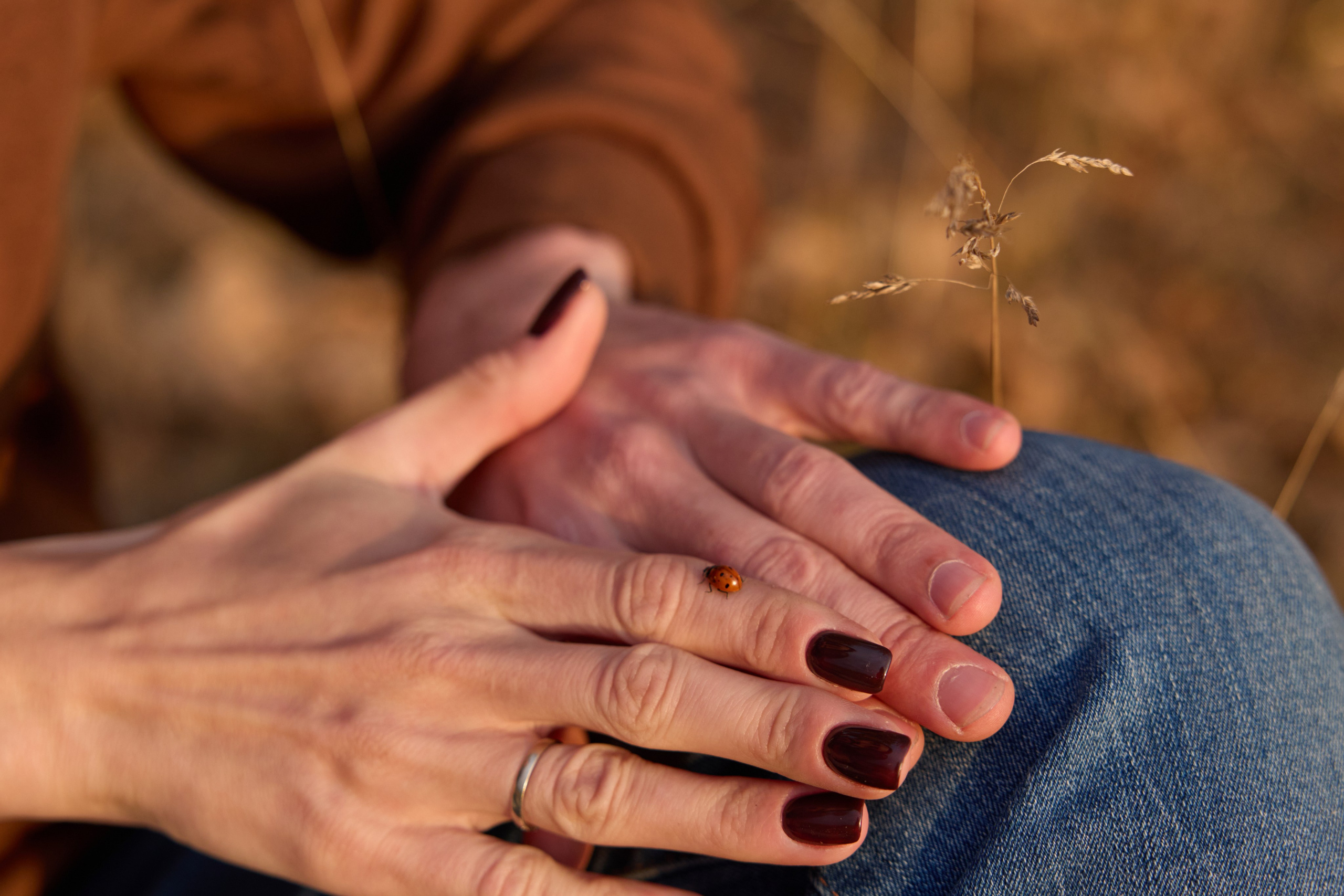 Семейная история. Фотограф анималист в Казани Алина Сулейманова. Фотограф животных