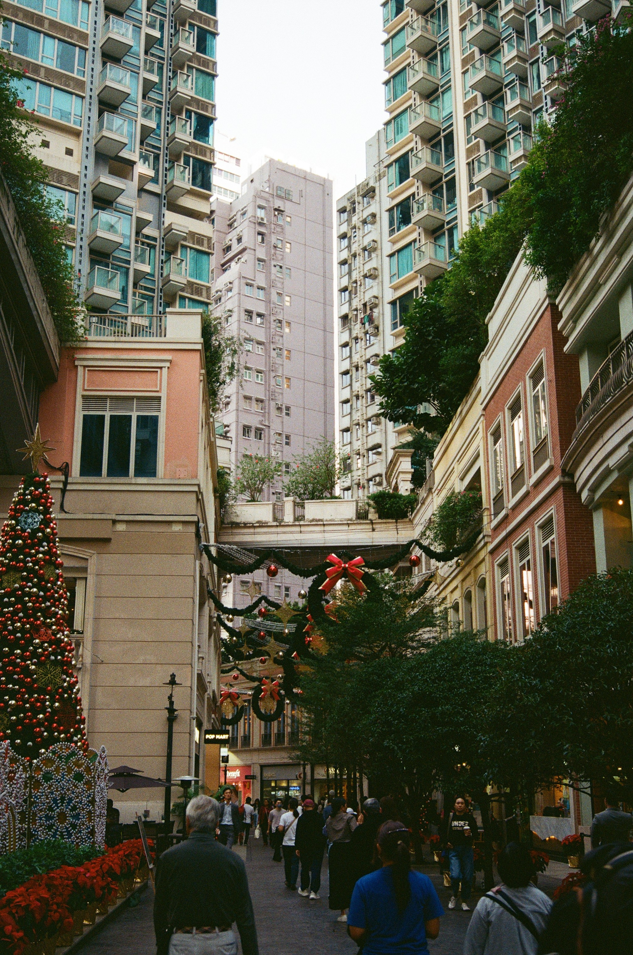 Гон Конг 2024. Репортажный и портретный фотограф Русакова Жанна