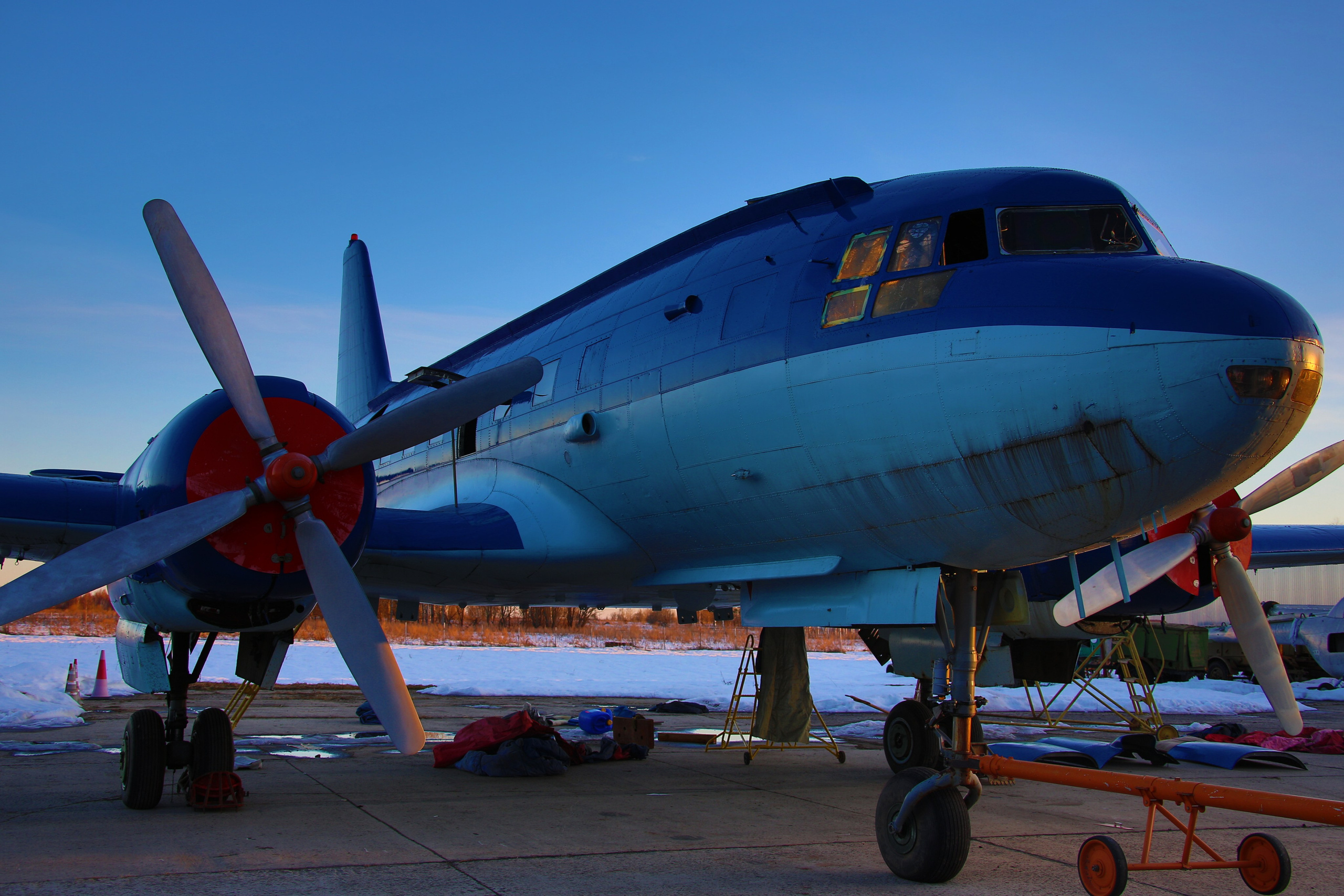 Ил-14Т «Голубая Мечта» (2026 г.). Фотоальбом показывающий увлекательный мир авиации и мир медведей Андрея Иванова