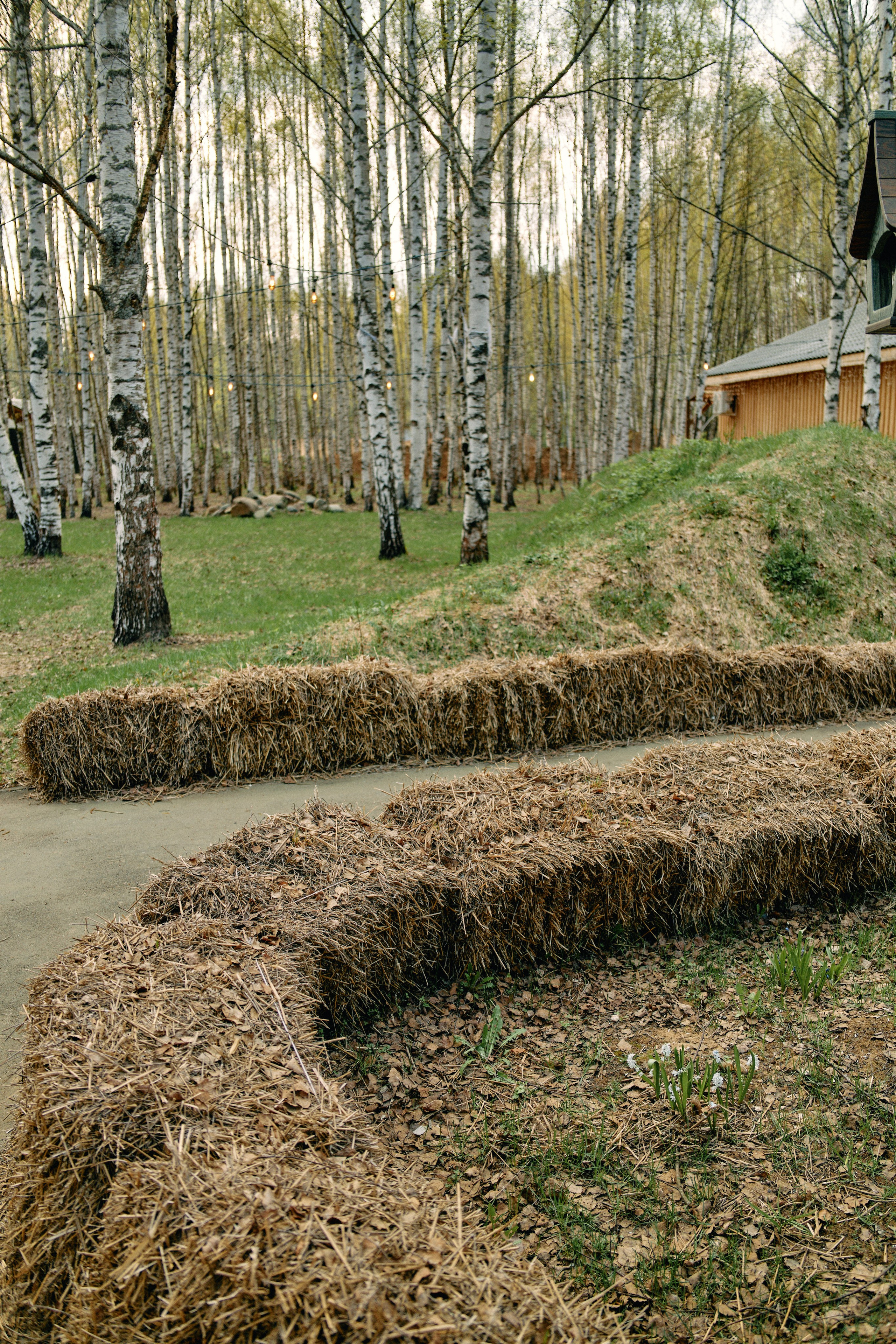 Бутик-отель Поле летом. Профессиональный Фотограф во Владимире, в Москве и в Суздале — Полина Романычева