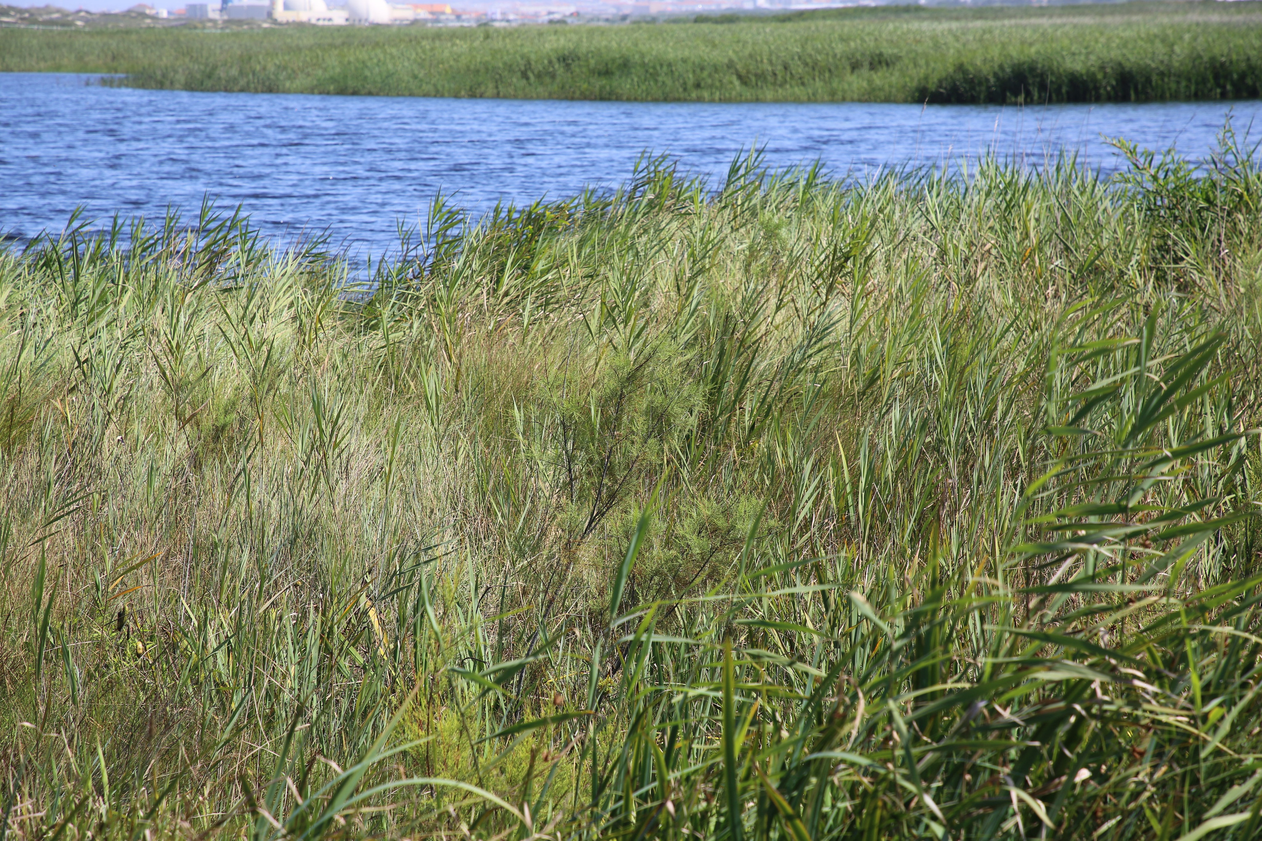 Esmoriz, Portugal. Andrey Filippov Photographer