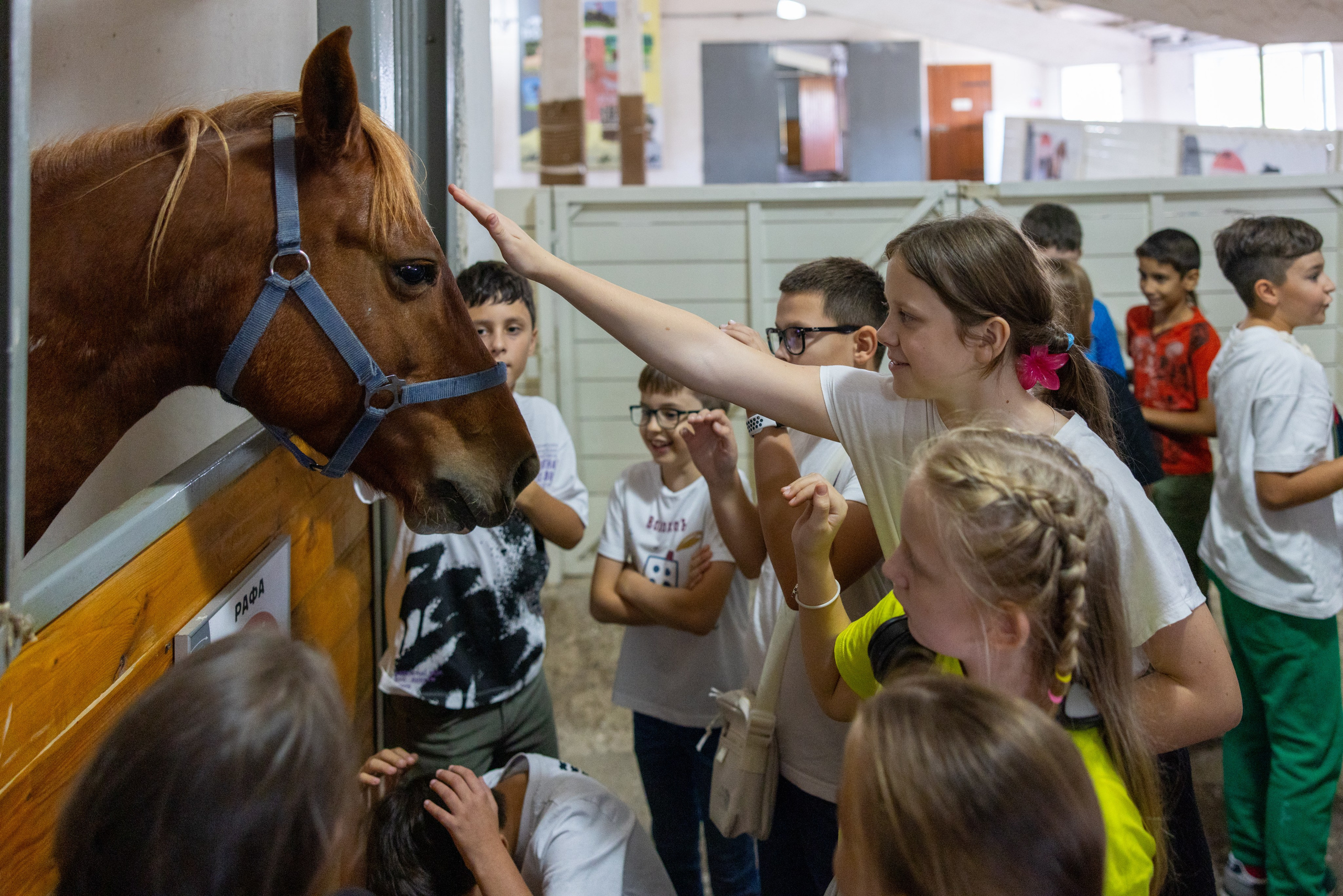 Поездка на поле Кулеково. Фотограф в Туле Крупский АнДРей. Фотостудия «КАДР71» в Туле