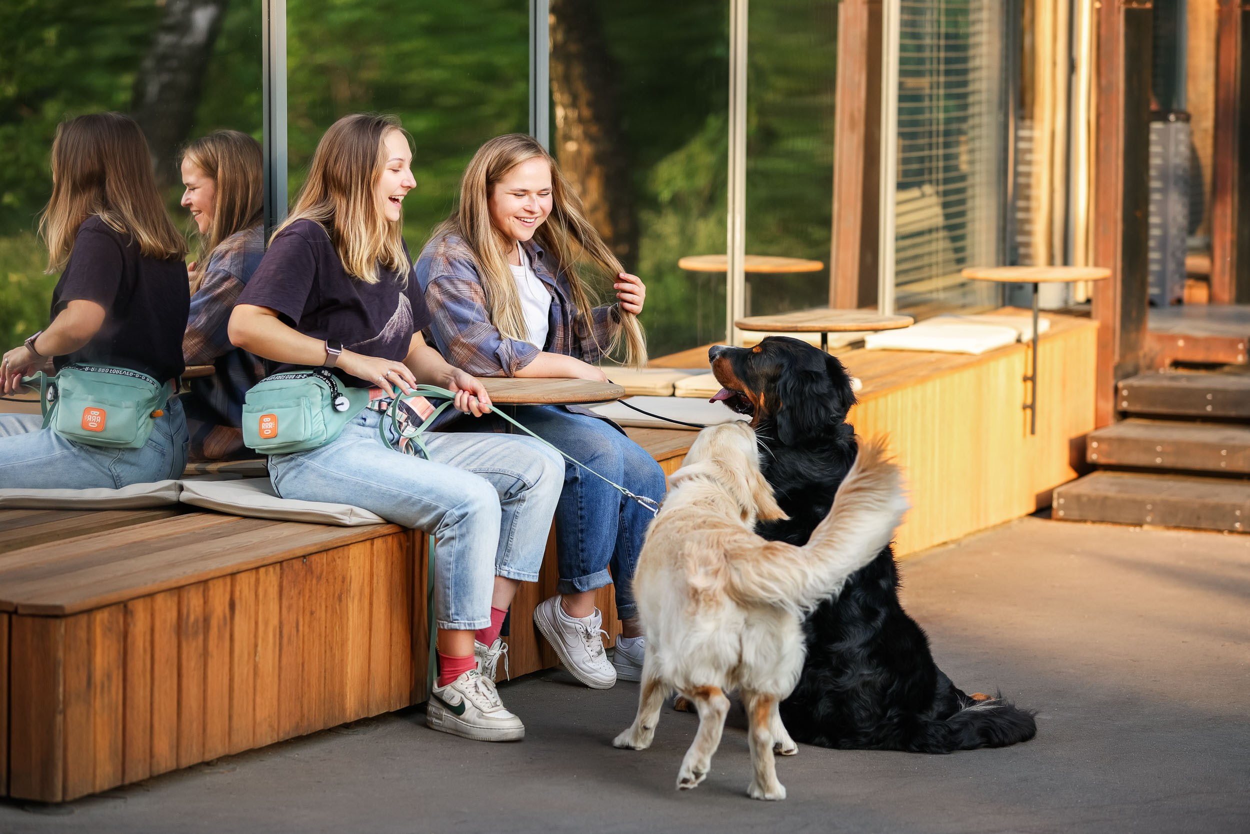 Фотопрогулка для четырех человек с собаками. Фотограф-анималист в Москве и Московской области Татьяна Фролова