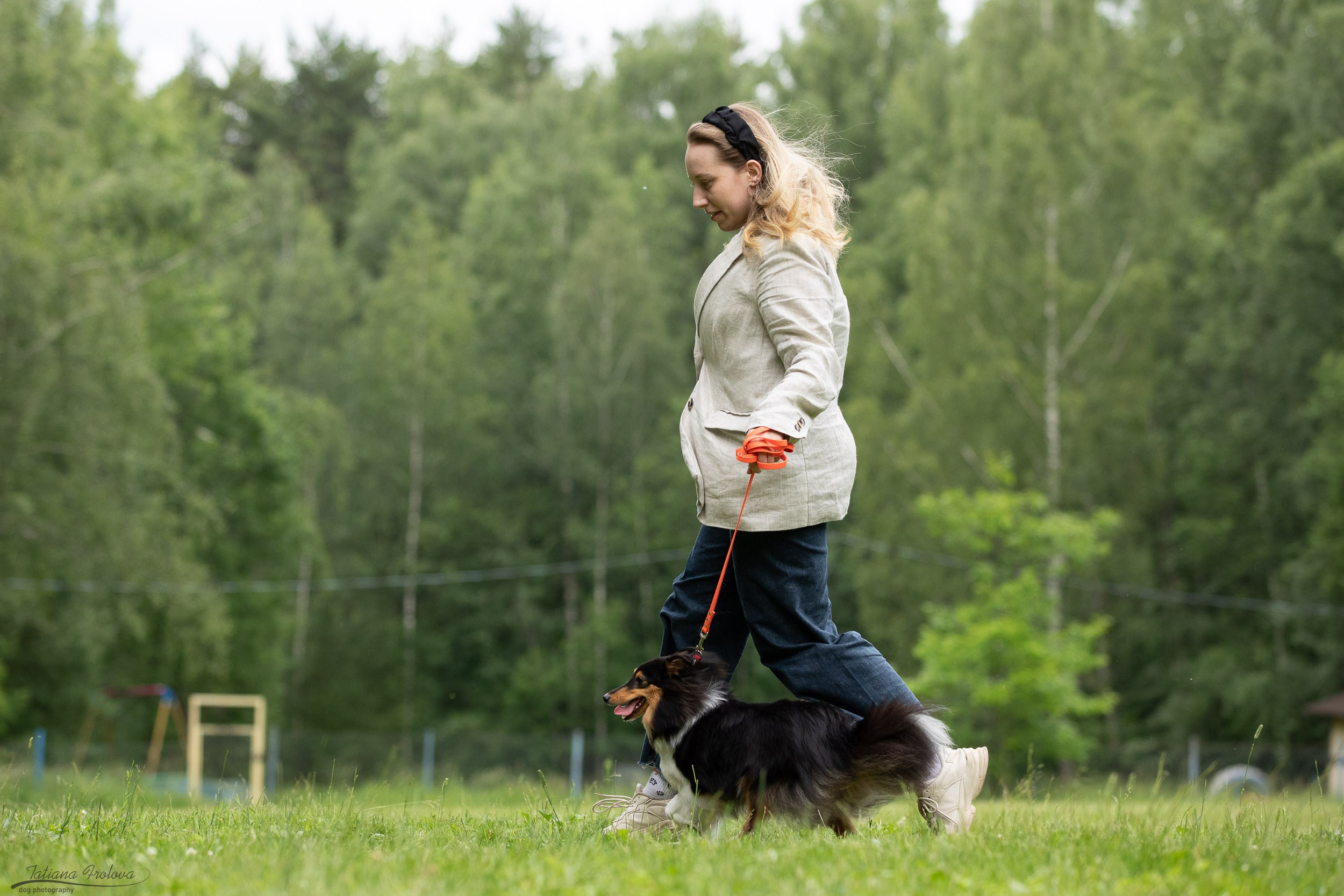 Репортаж с выводки молодняка колли/шелти в Ясенево. Фотограф-анималист в Москве и Московской области Татьяна Фролова