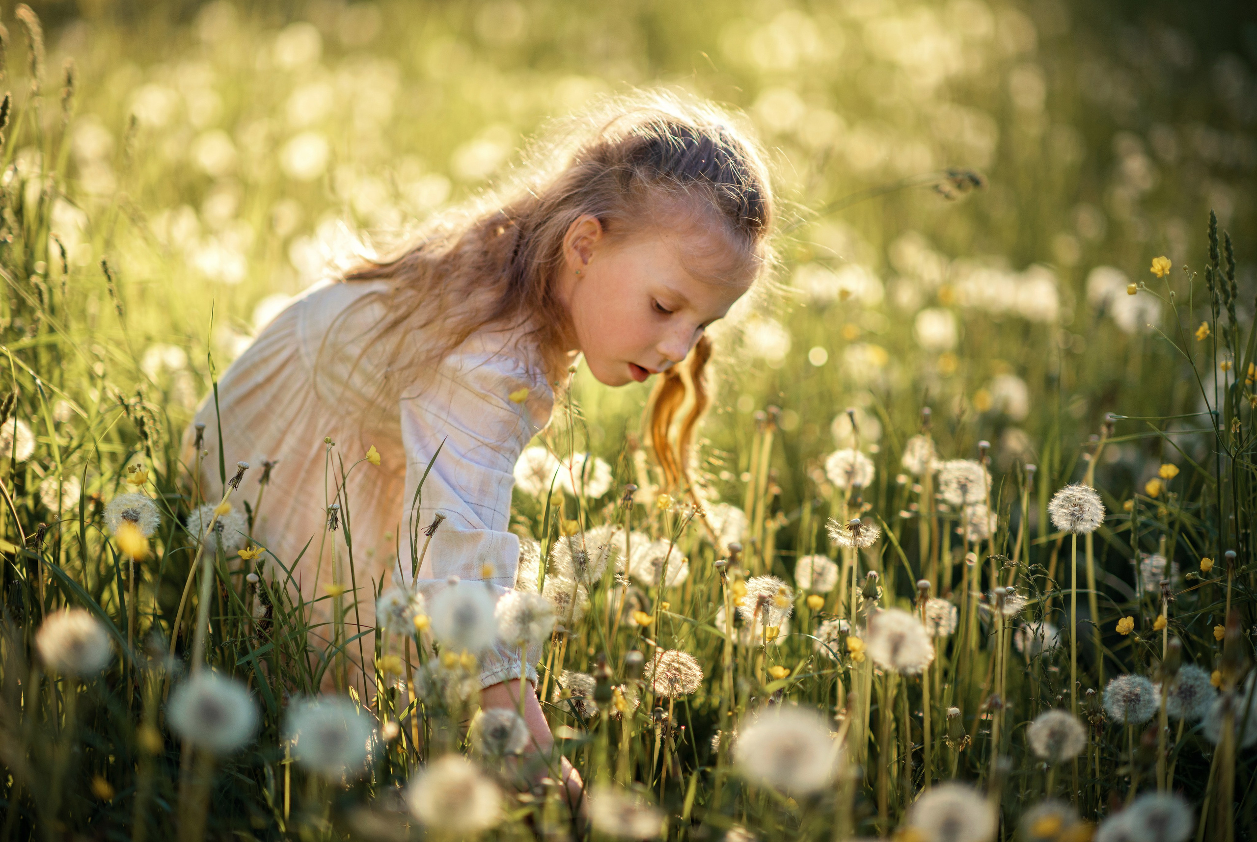 Детская летняя фотосессия в Сыктывкаре детский фотограф лето Сыктывкар. Фотограф новорождённых детский фотограф Сыктывкар Наталья Линдт