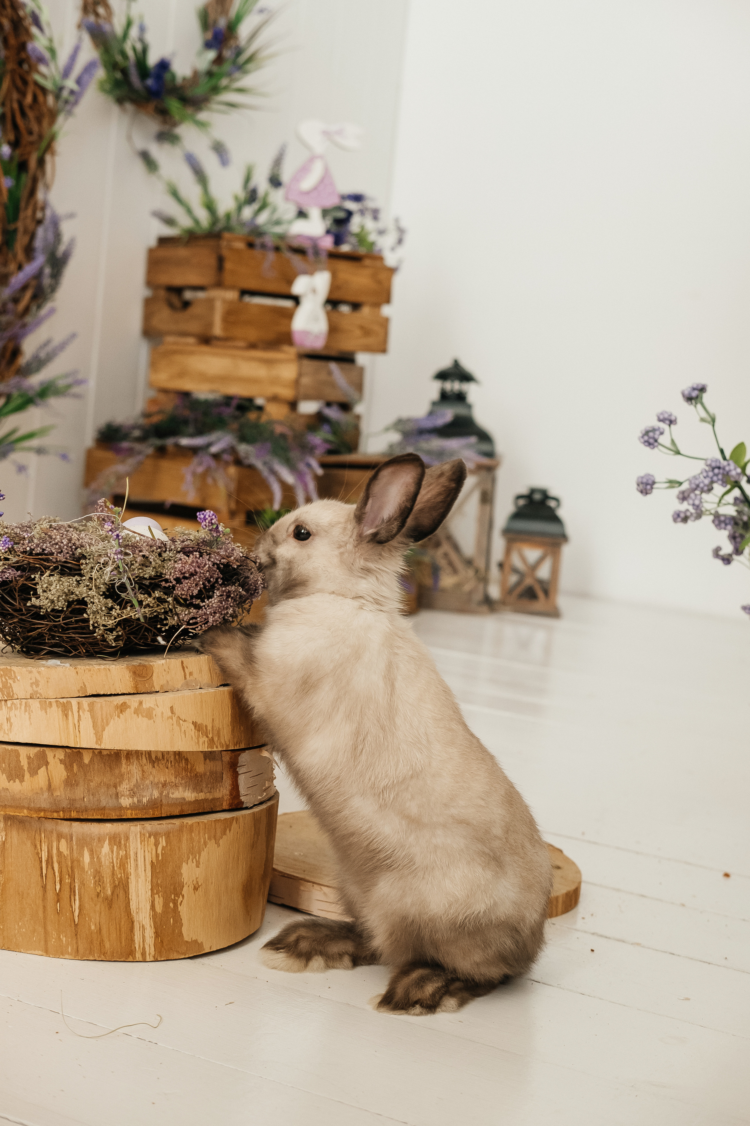 Фото день «Пасхальное чудо». Семейный и свадебный фотограф Новосибирск