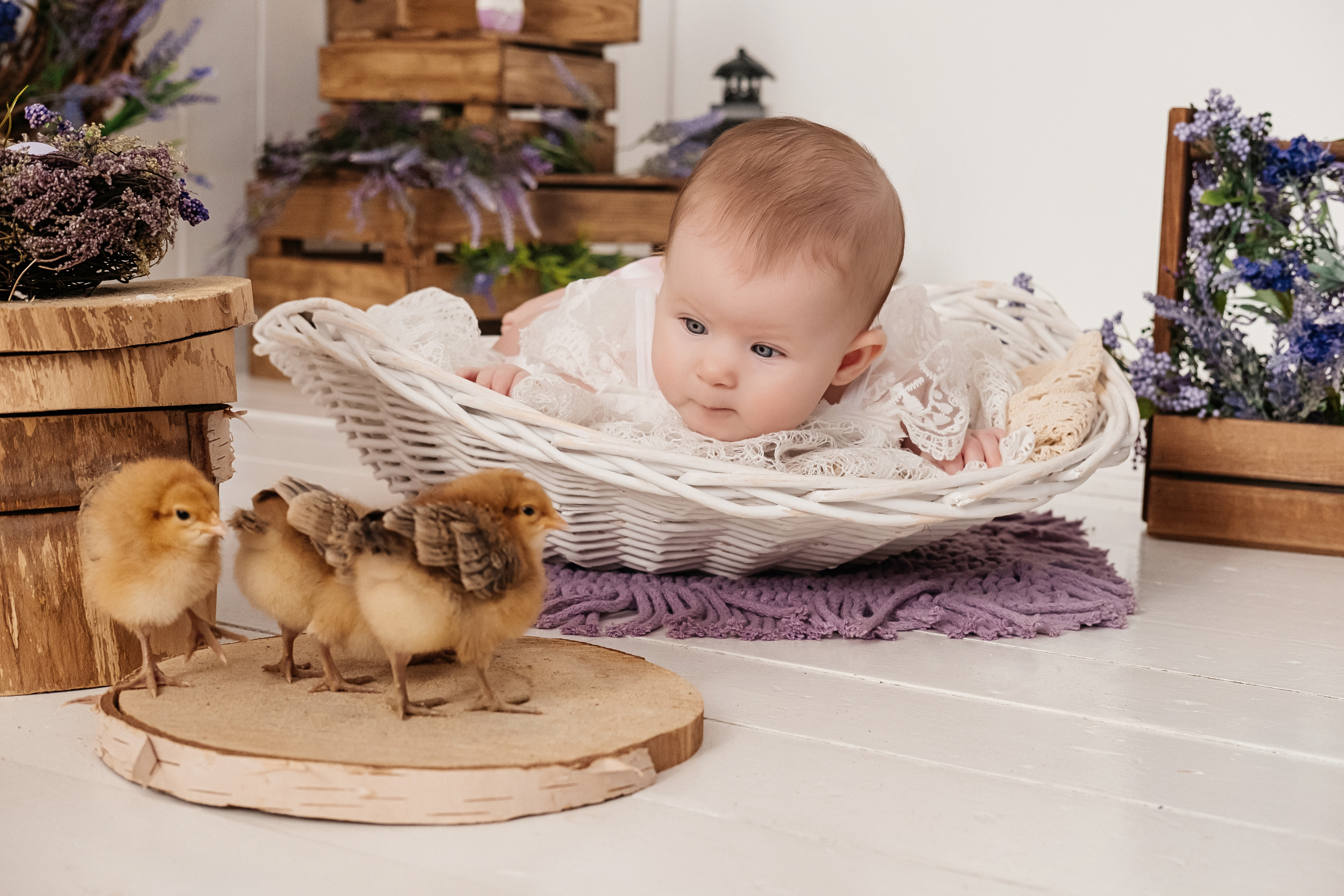 Фото день «Пасхальное чудо». Семейный и свадебный фотограф Новосибирск