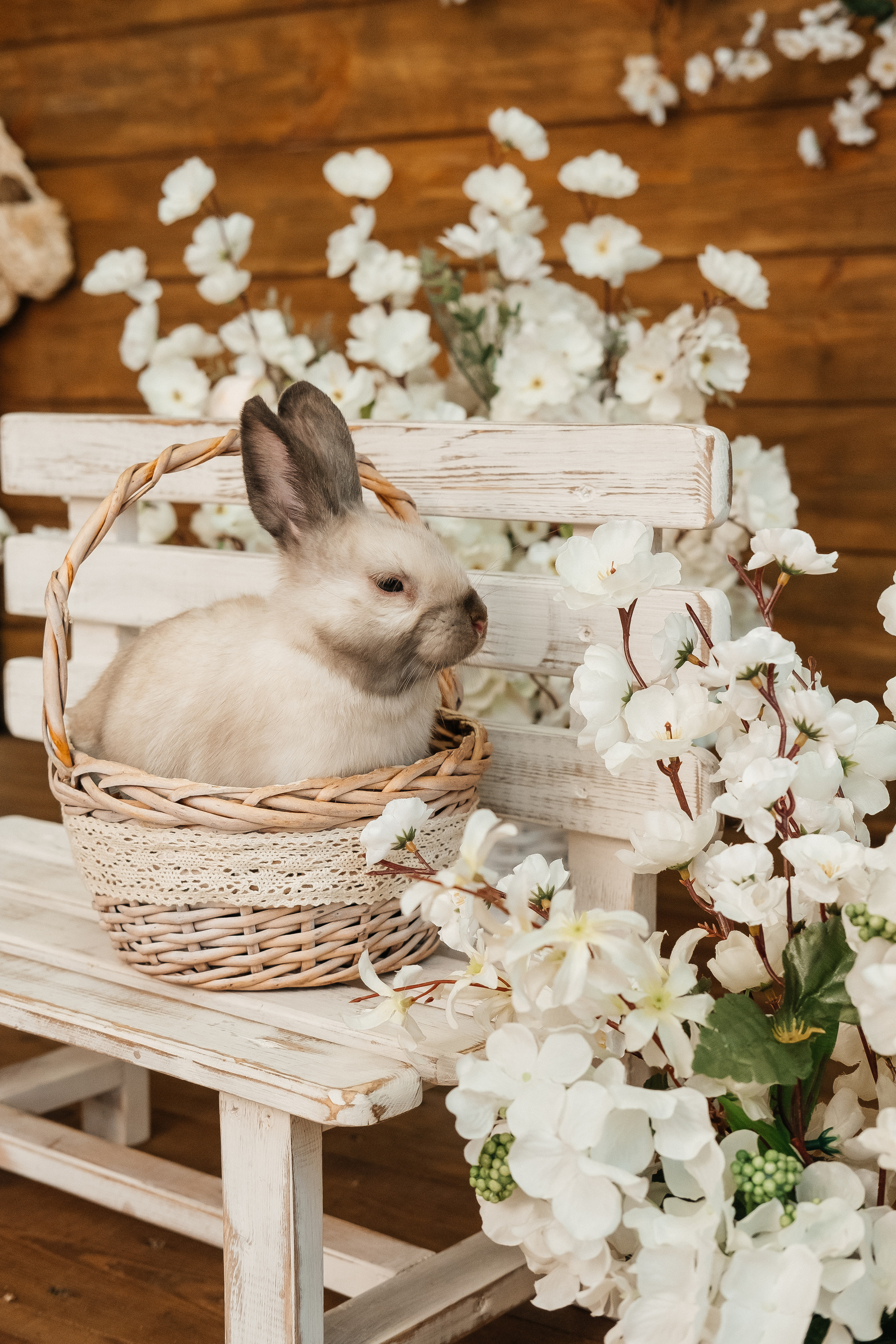 Фото день «Пасхальное чудо». Семейный и свадебный фотограф Новосибирск