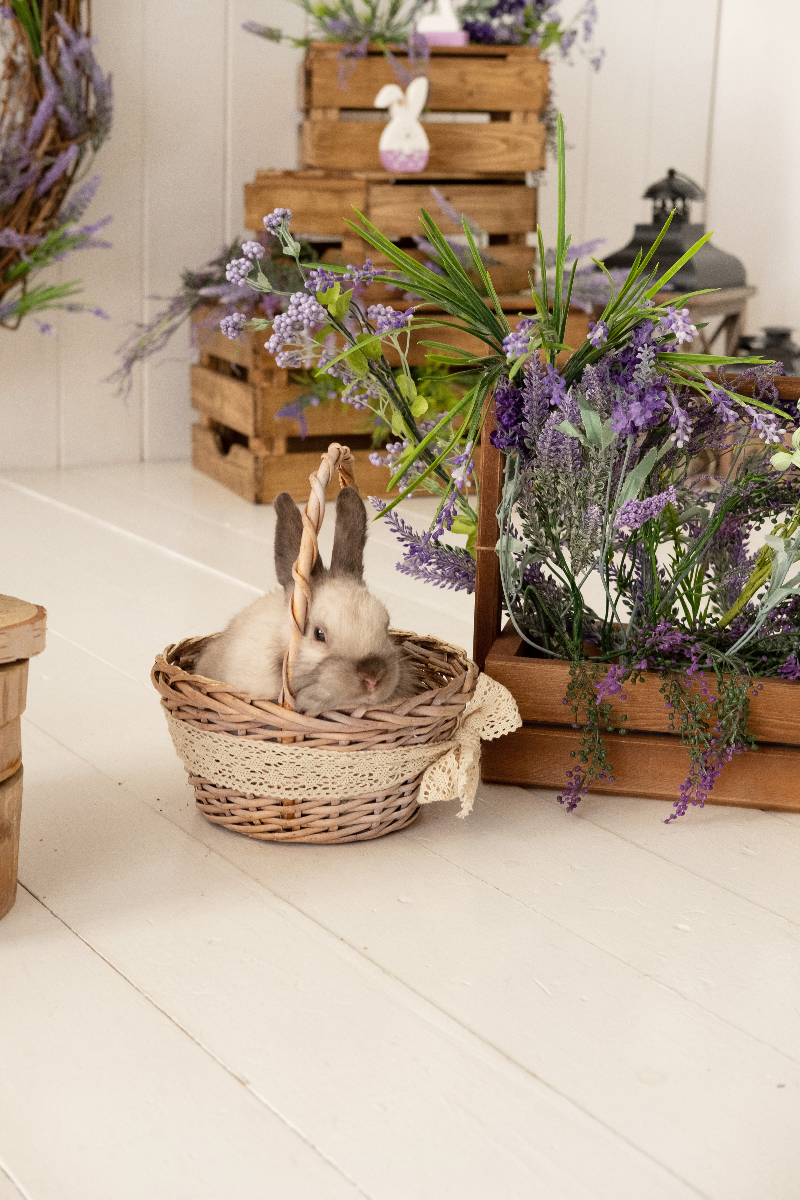 Фото день «Пасхальное чудо». Семейный и свадебный фотограф Новосибирск