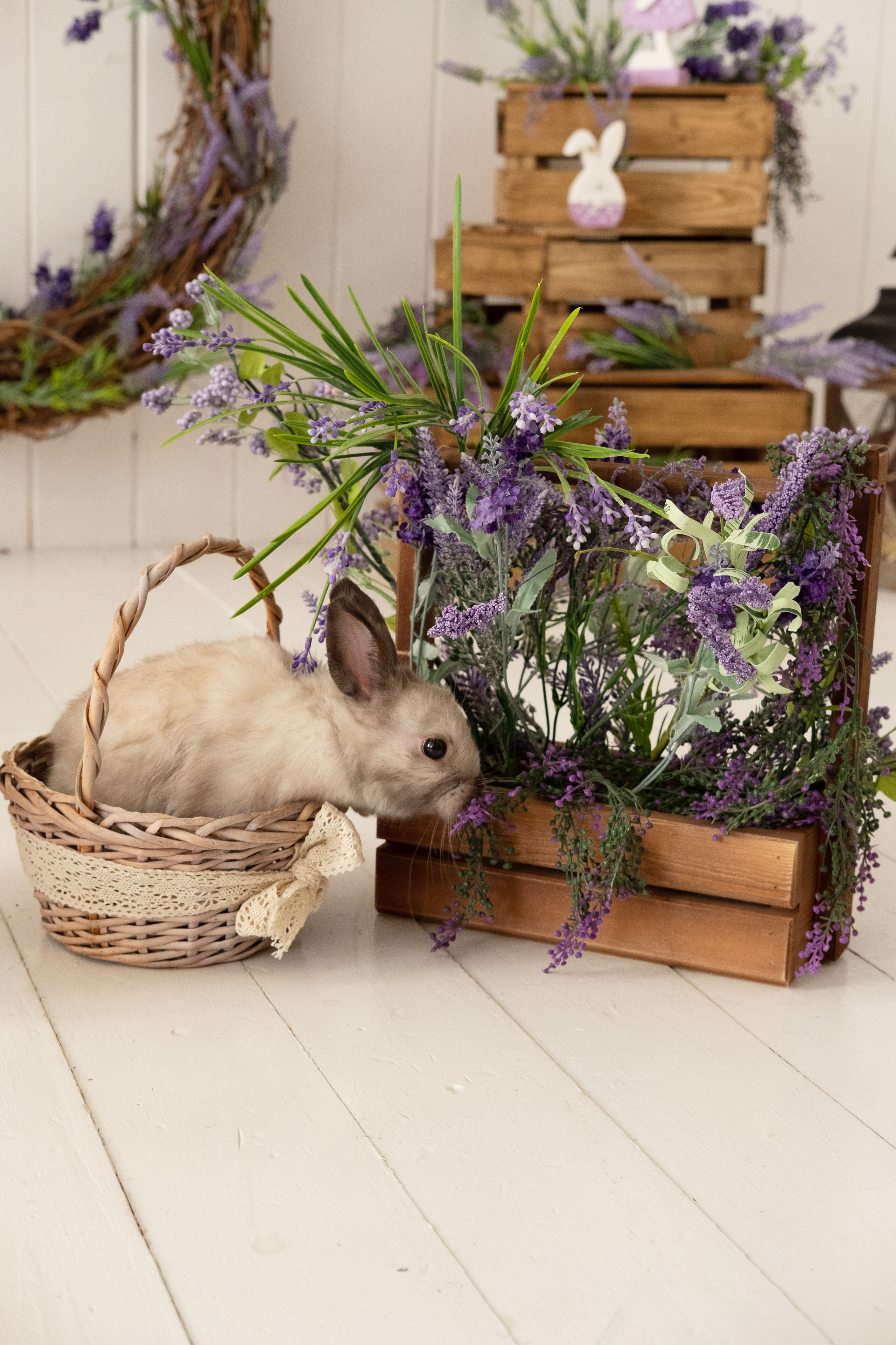 Фото день «Пасхальное чудо». Семейный и свадебный фотограф Новосибирск