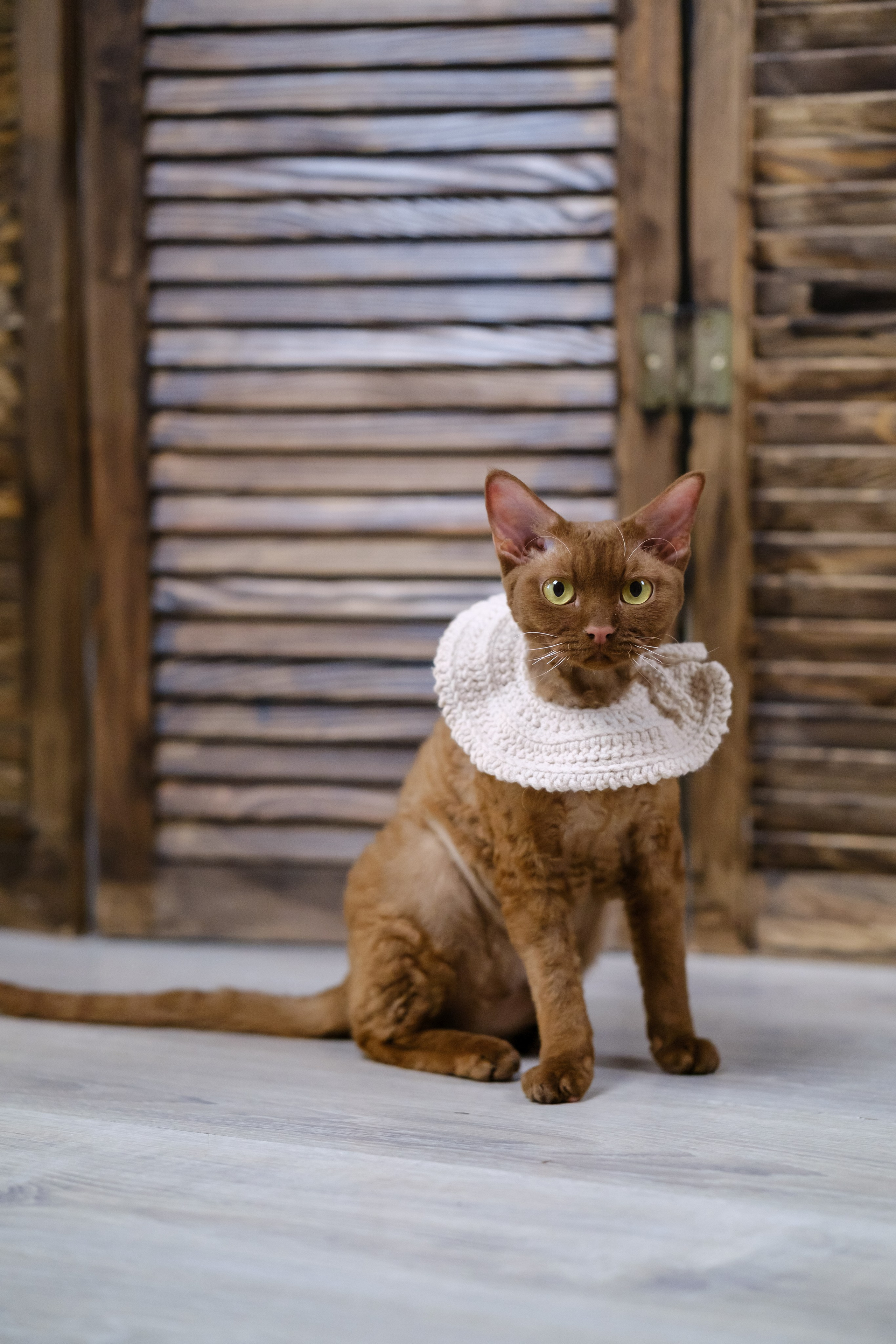 Семья Савельевых: беременность. Семейный фотограф в Москве Светлана Потемкина